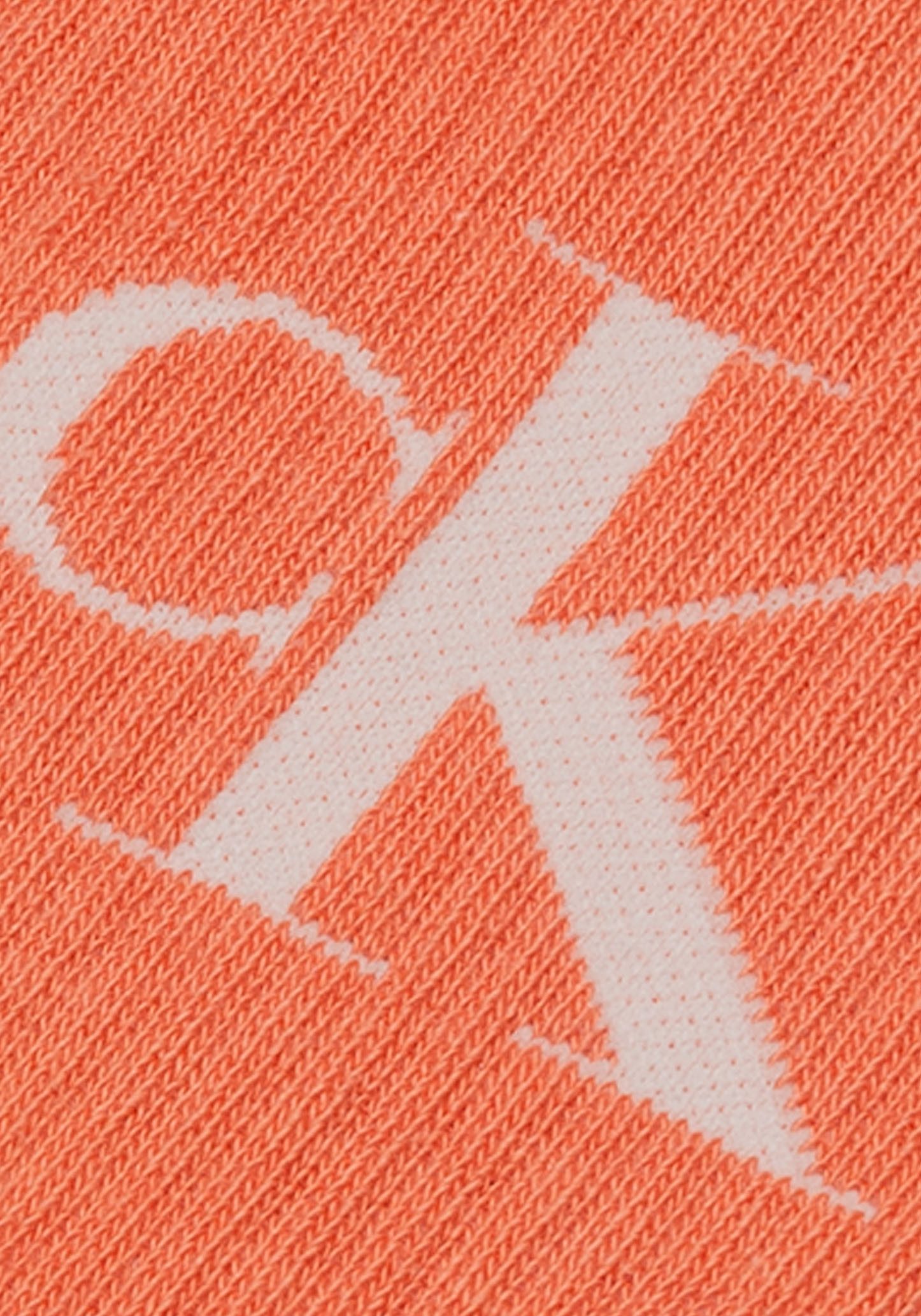 Calvin Klein Jeans Sokken (4 paar)