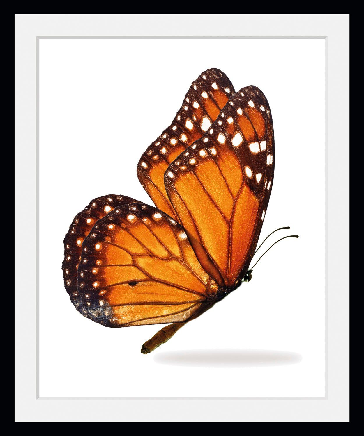 queence Wanddecoratie Jalina HD premium posterdruk incl. houten lijst (1 stuk) schilderijen maat 50 cm x 70 cm oranje