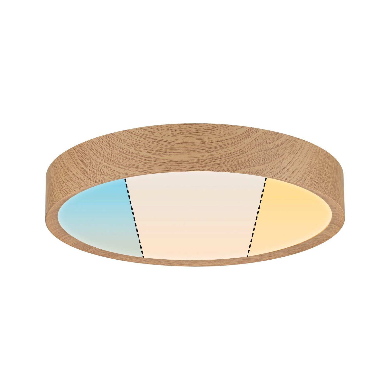 Paulmann Led-plafondlamp Selection Bathroom Tega IP44 24W 230V Kunststof