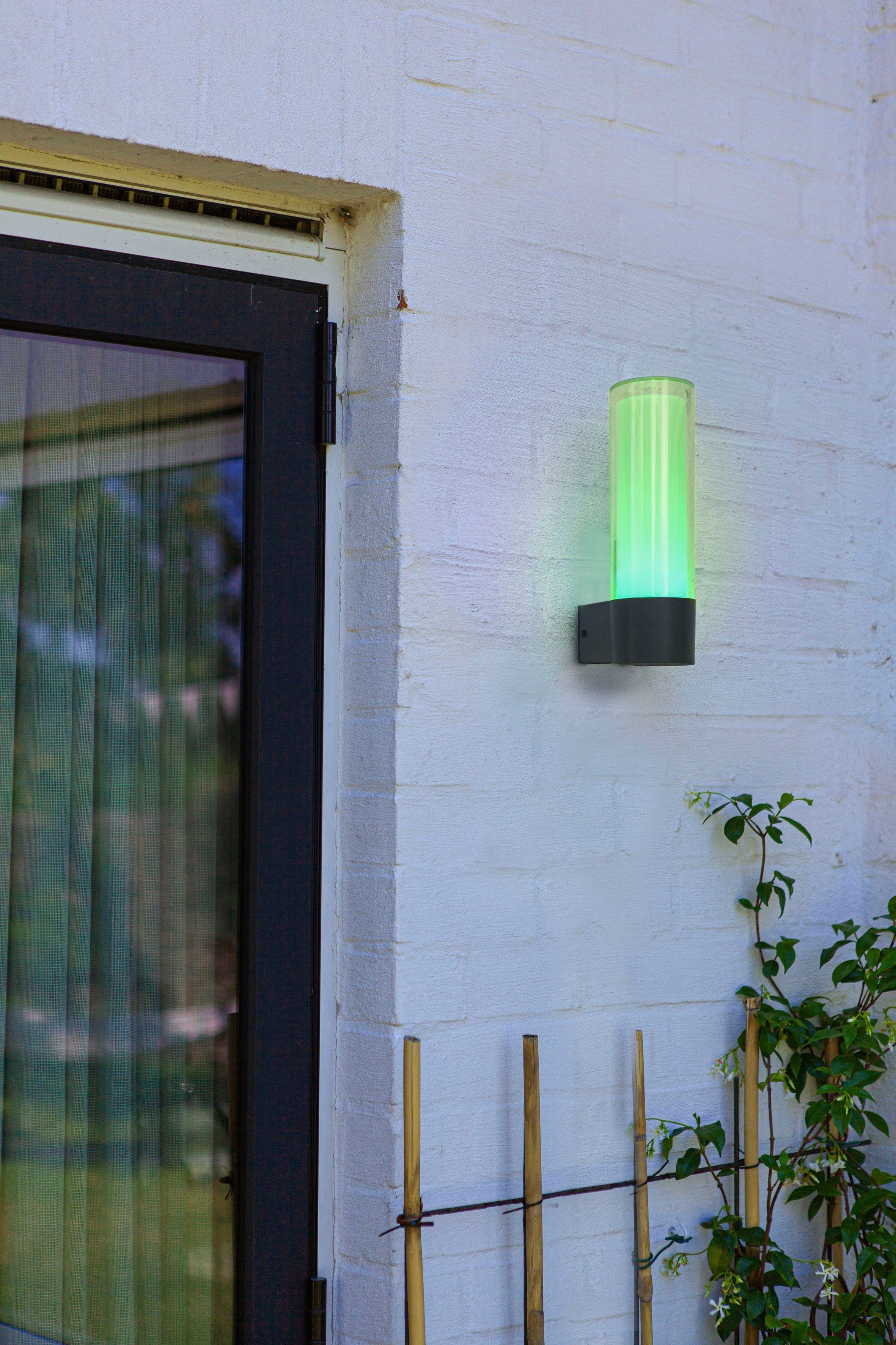 LUTEC Slimme ledlamp DROPA Smart-home (1 stuk)