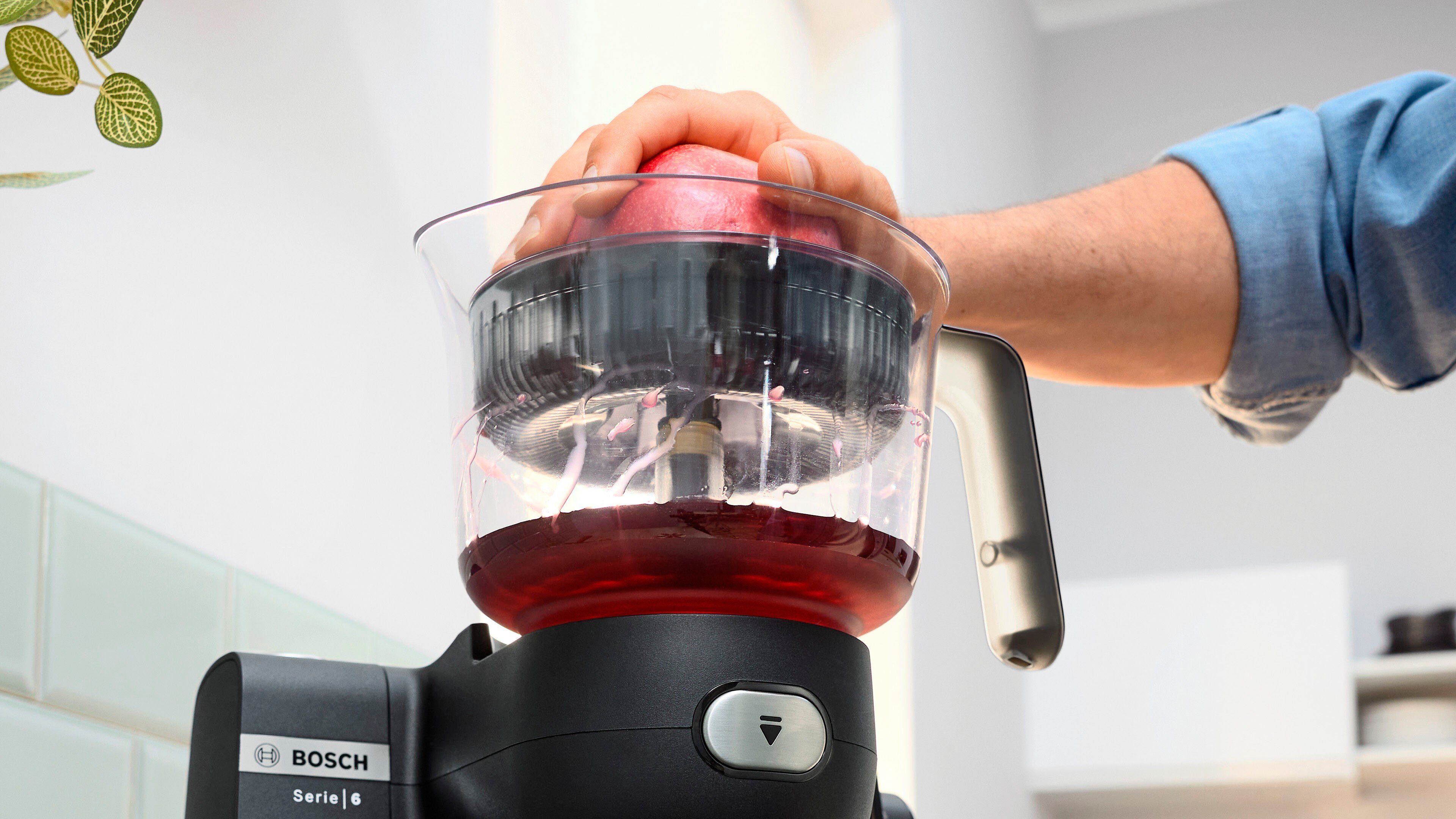BOSCH Citruspersopzet MUZS68ZP (4-delig)