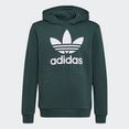 adidas originals sweatshirt trefoil hoodie groen