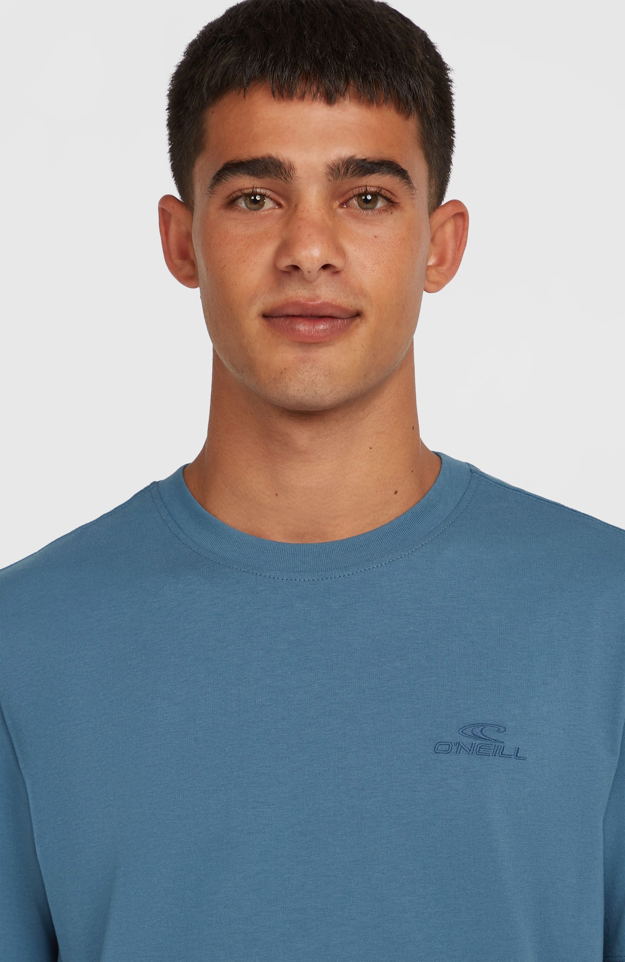 O'Neill T-shirt Small Logo T-Shirt
