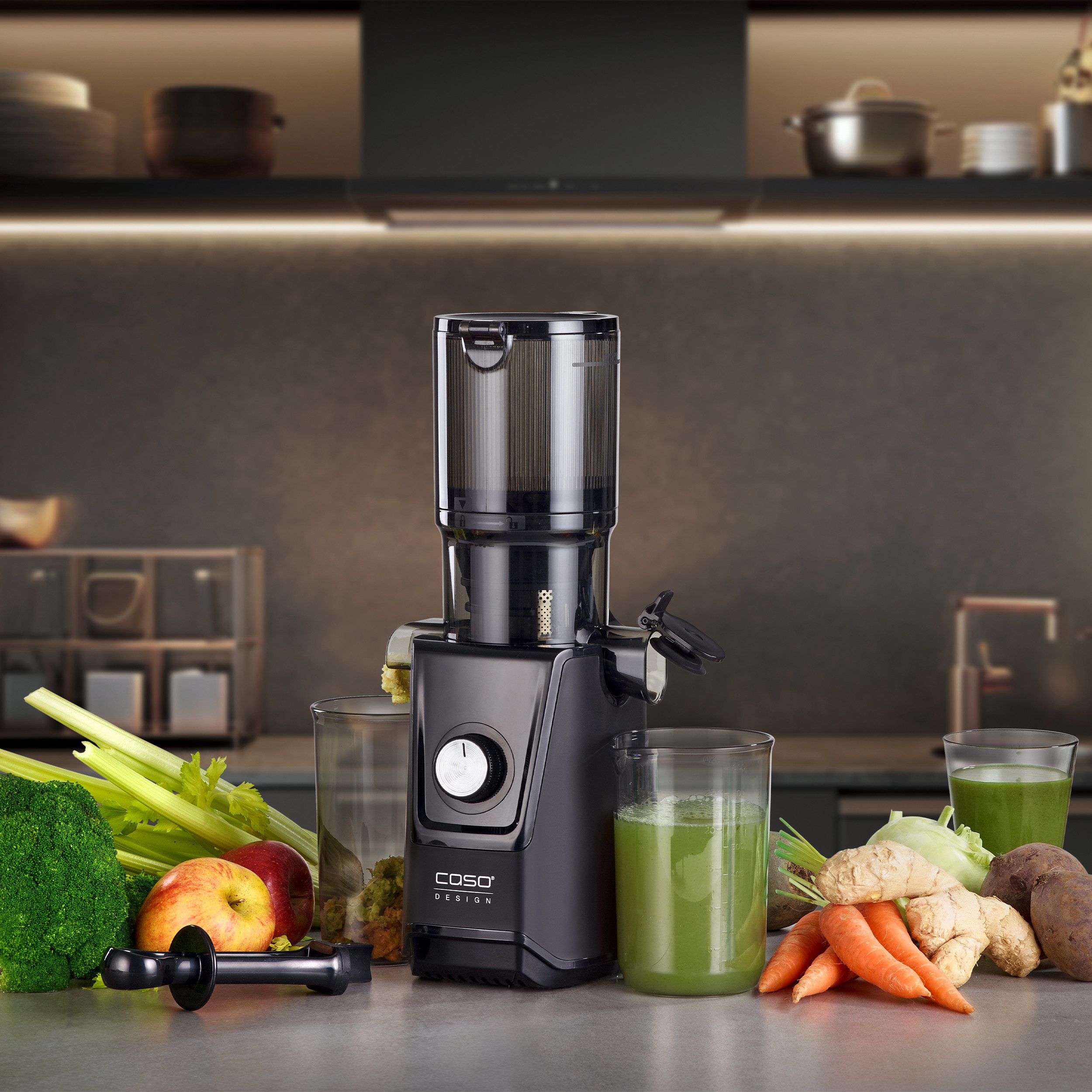 Caso Slowjuicer 3512 CASO Juice Fit