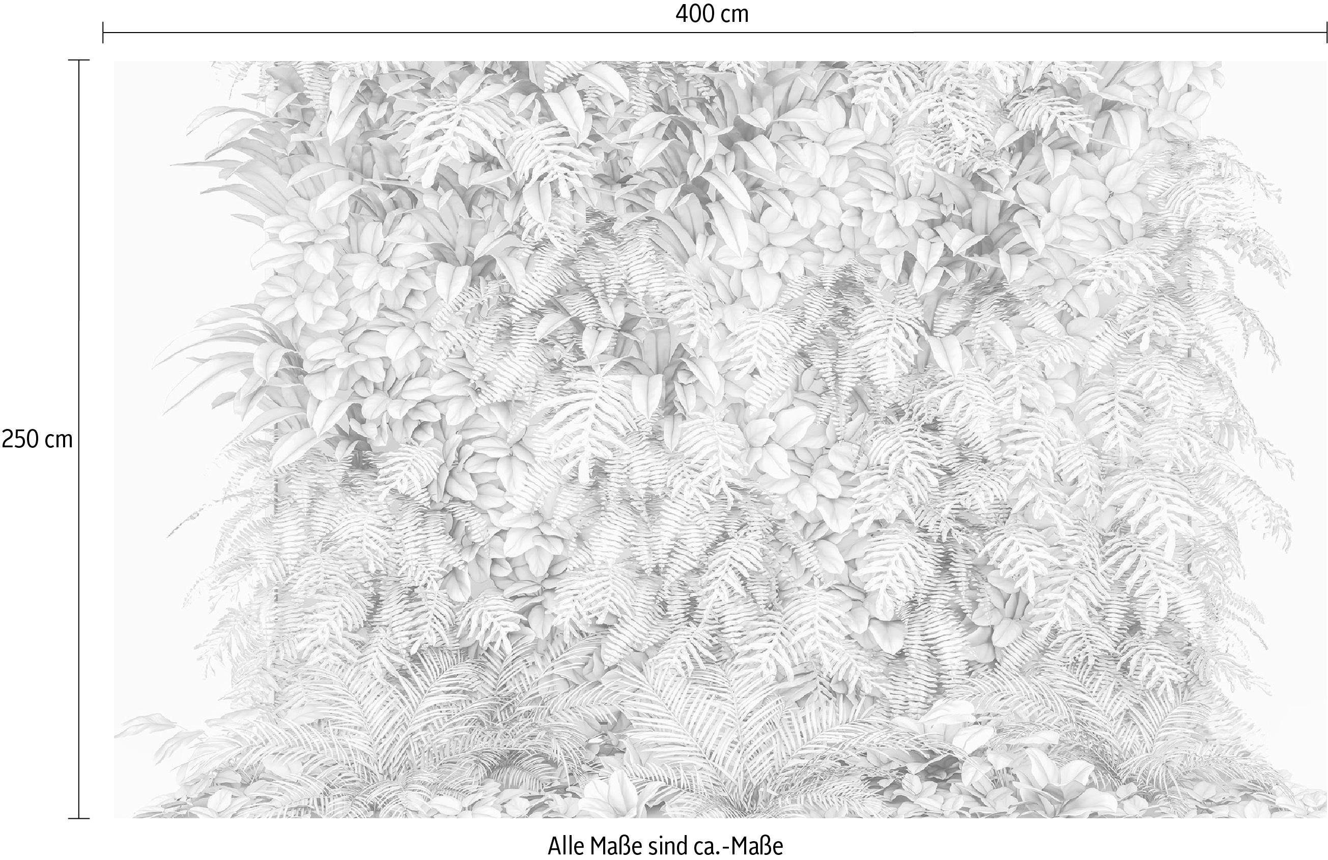Komar Vliesbehang Digitale print vlies - Vertical Garden - Afmeting 400 x 250 cm (1 stuk)
