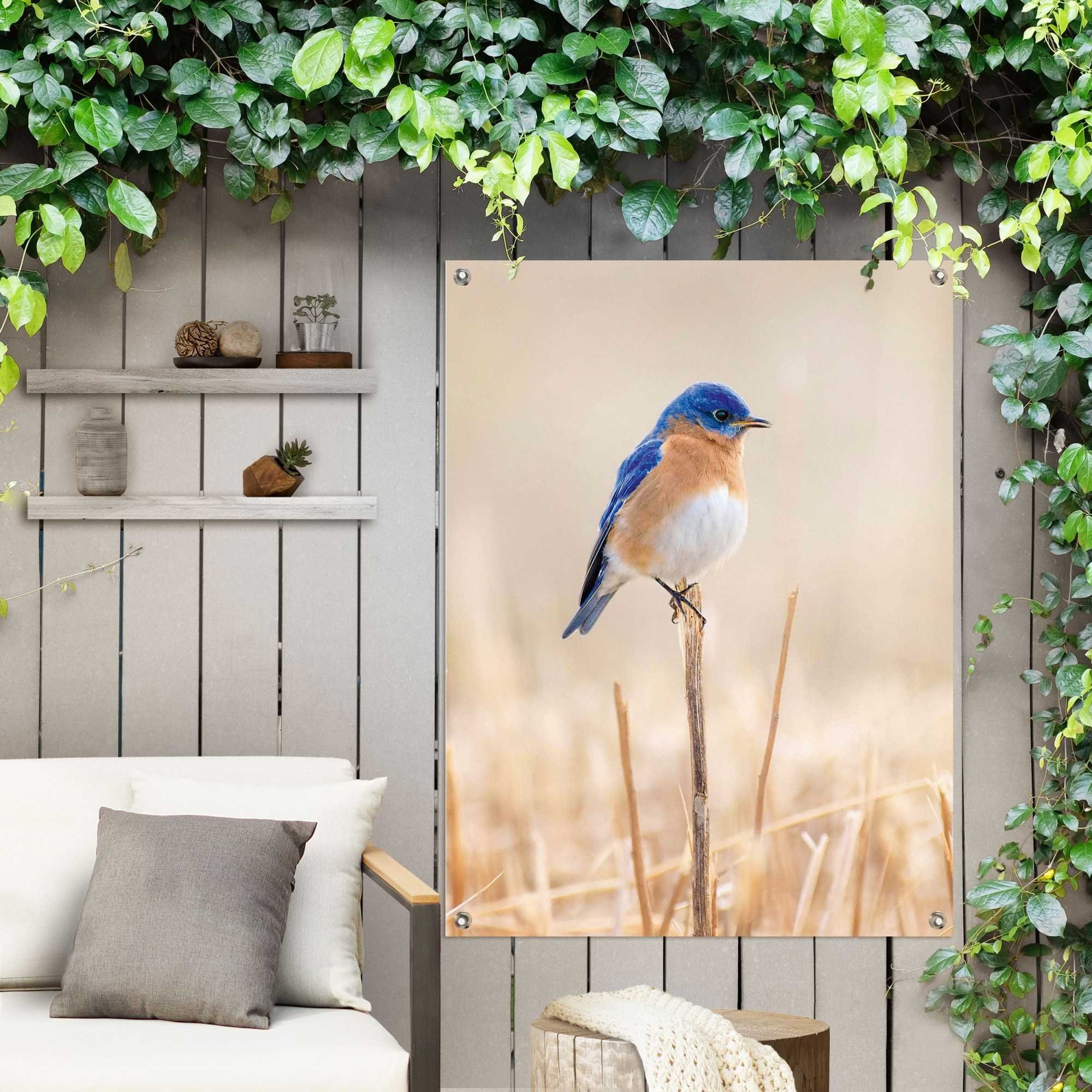 Reinders! Poster Blauwe vogel Outdoor voor tuin of balkon
