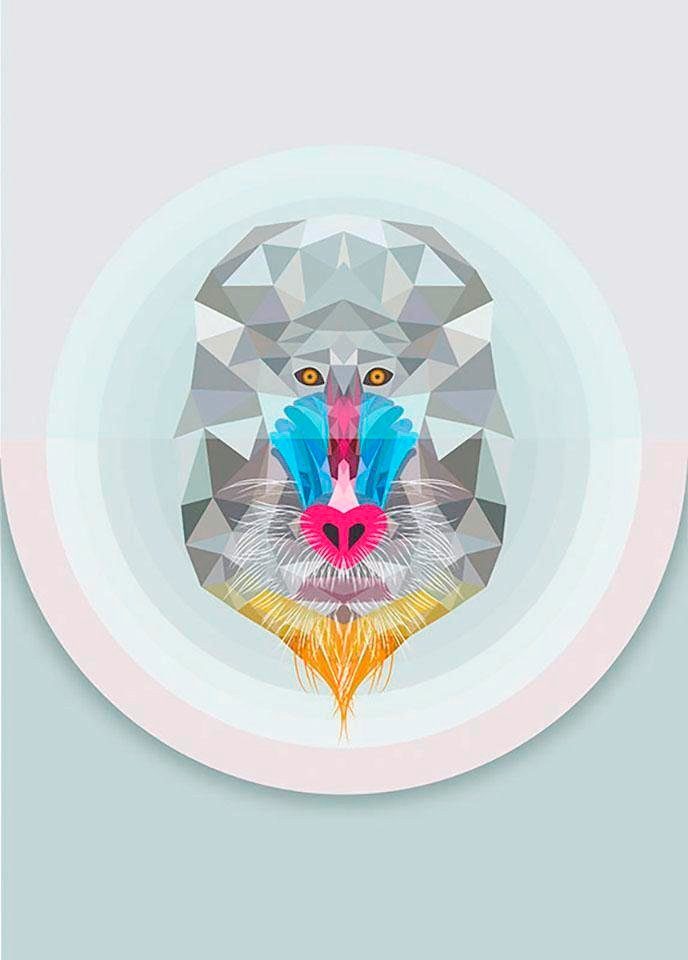 Komar Wanddecoratie Baboon Wanddecoratie - zonder lijst (1 stuk)