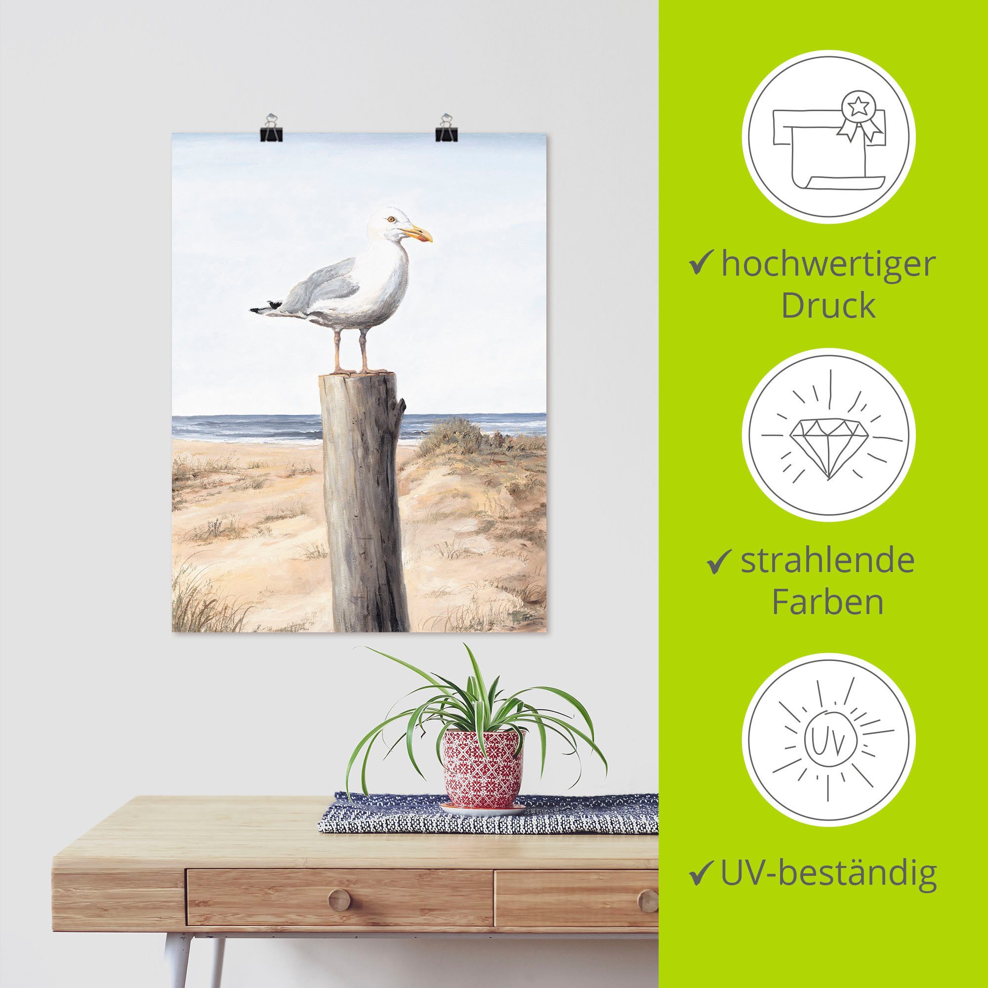 Artland Artprint Meeuw als artprint van aluminium, artprint voor buiten, artprint op linnen, poster, muursticker