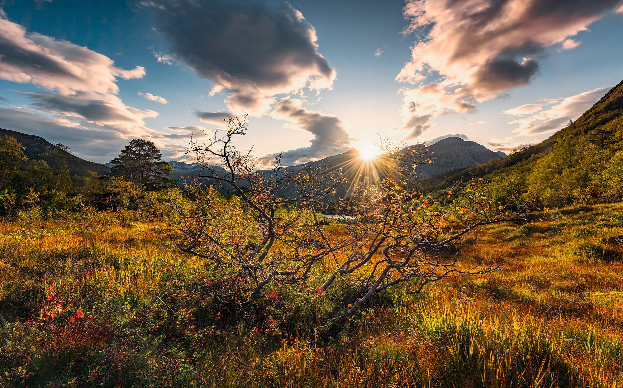 Komar fotobehang Norwegische Herbstwelten
