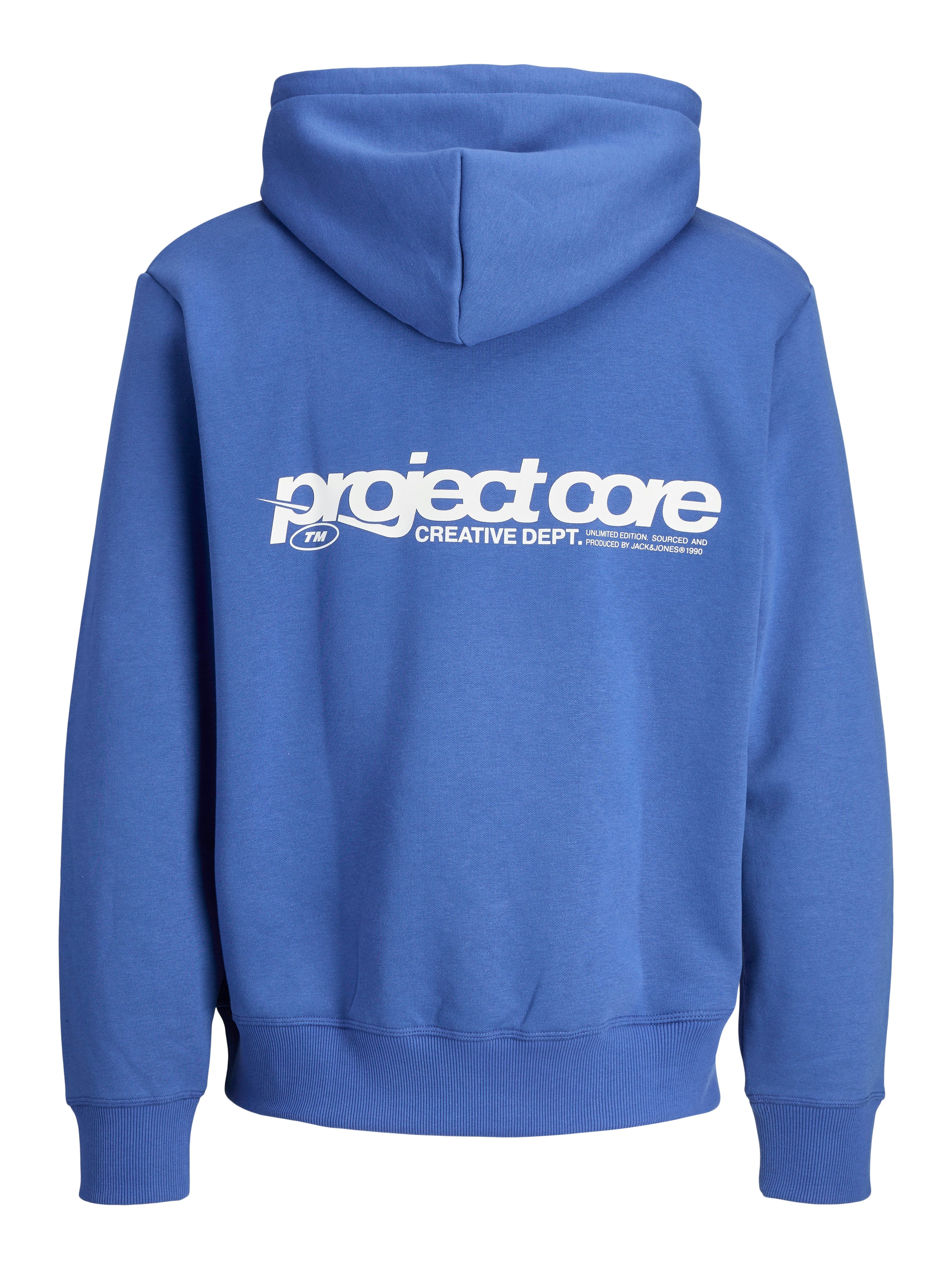 Jack & Jones Hoodie JCOUNION PRINT SWEAT HOOD NOOS