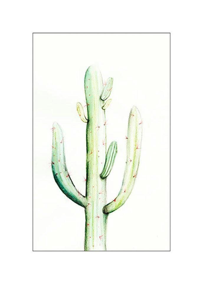 Komar Poster Saguaro Watercolor Hoogte: 50 cm