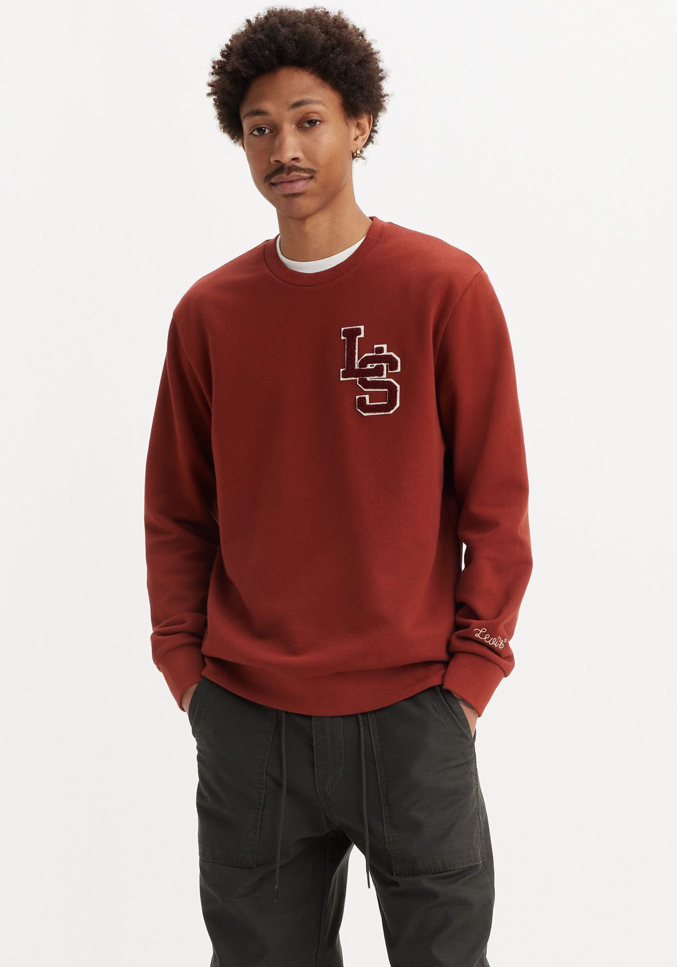 Levi's Sweatshirt STANDARD GRAPHIC CREW
