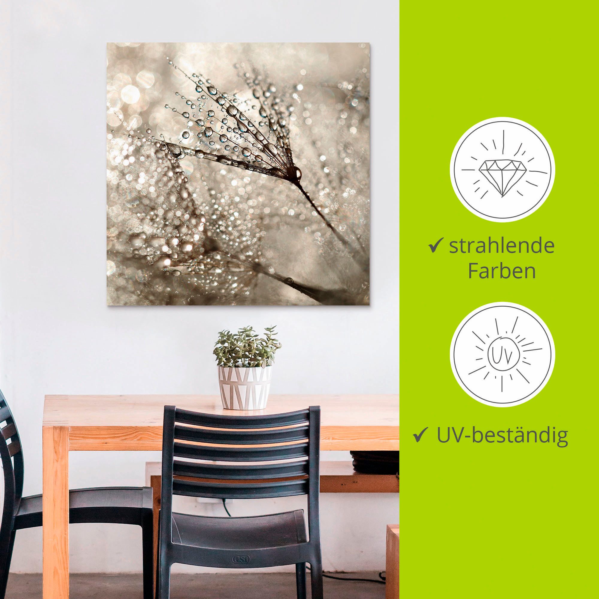 Artland Artprint Pluizenbol dauwdruppel als artprint van aluminium, artprint voor buiten, artprint op linnen, poster, muursticker