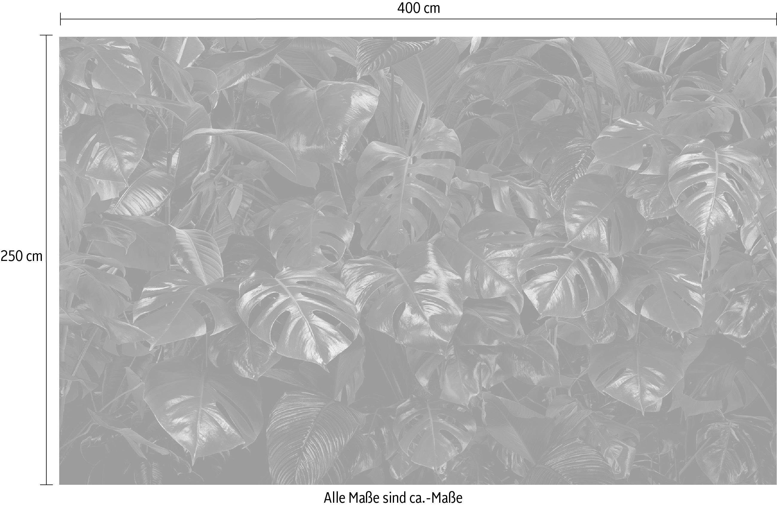Komar Vliesbehang Digitale print vlies - Tropical Wall - Afmeting 400 x 250 cm (1 stuk)