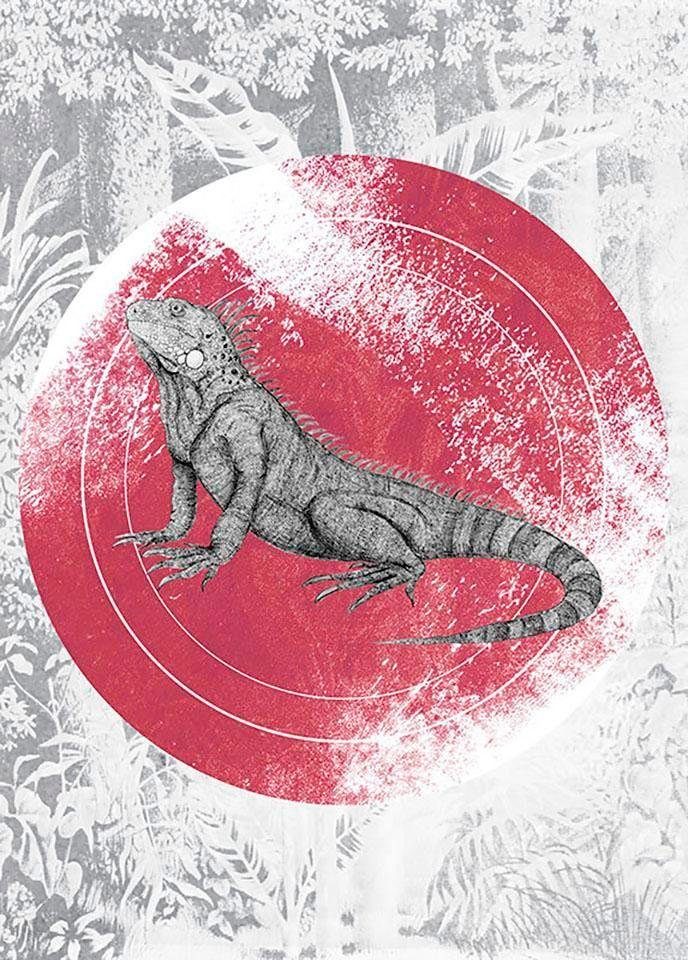 Komar Poster Iguana Circle Hoogte: 40 cm