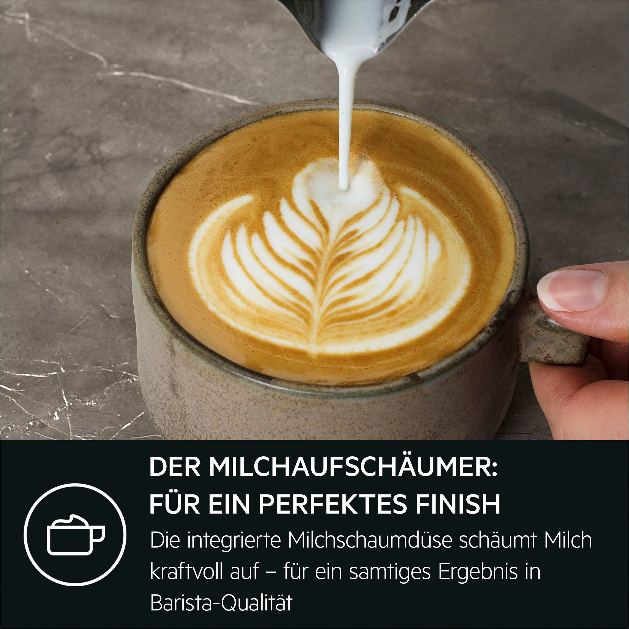 AEG Espressomachine Gourmet 6 EC6-1-6BST