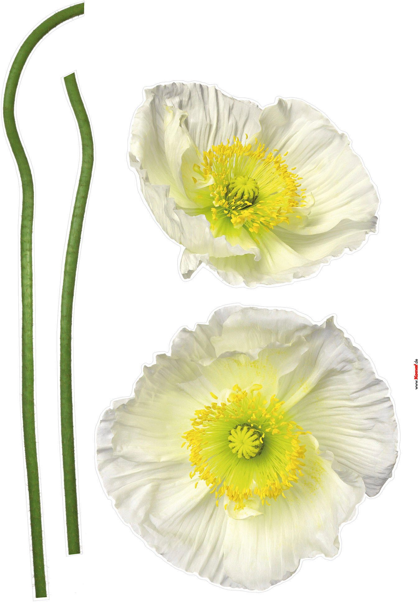 Komar Wandfolie Pavot Blanc - Grootte 50 x 70 cm (4-delig)