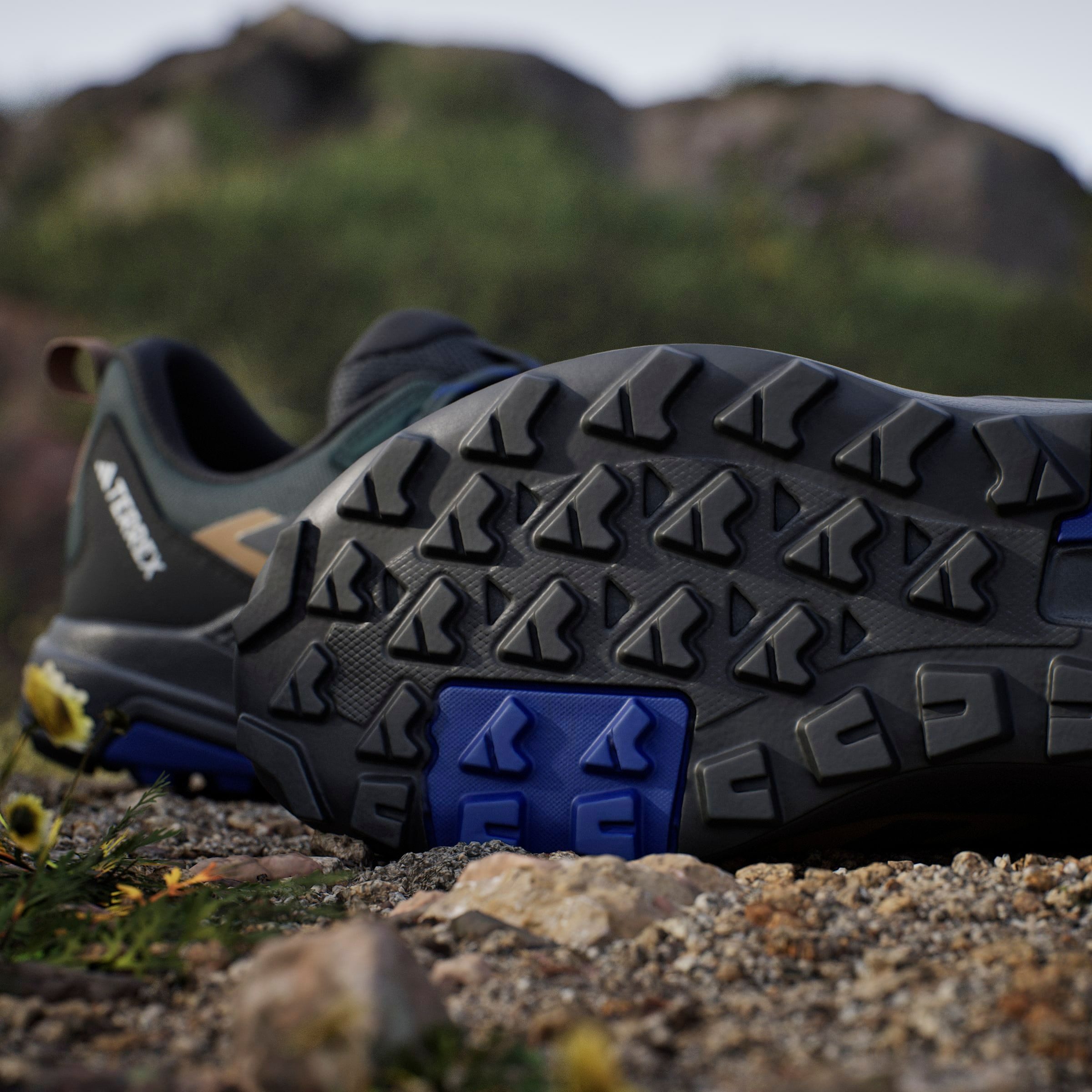 adidas TERREX Wandelschoenen TERREX ANYLANDER