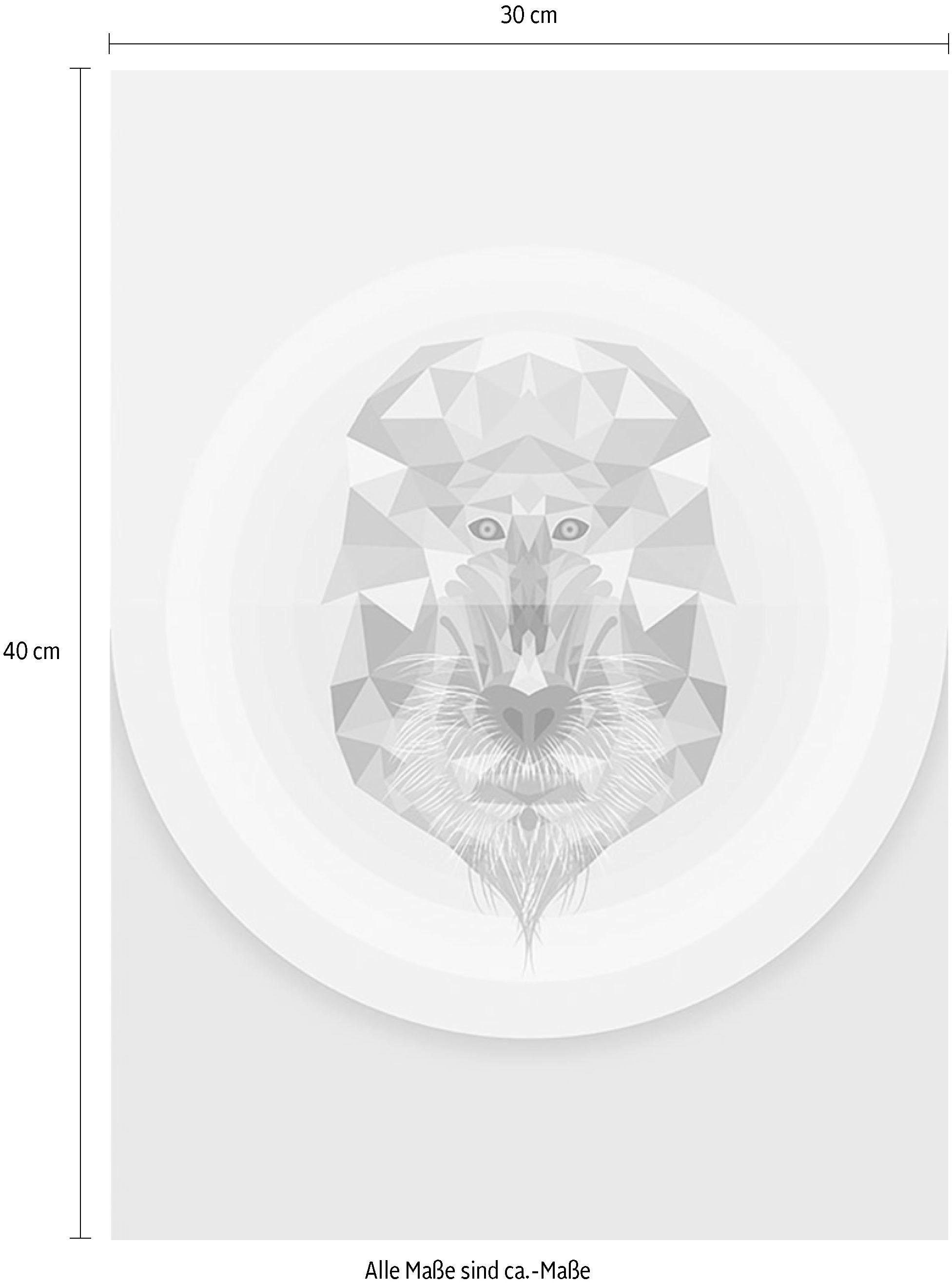Komar Wanddecoratie Baboon Wanddecoratie - zonder lijst (1 stuk)