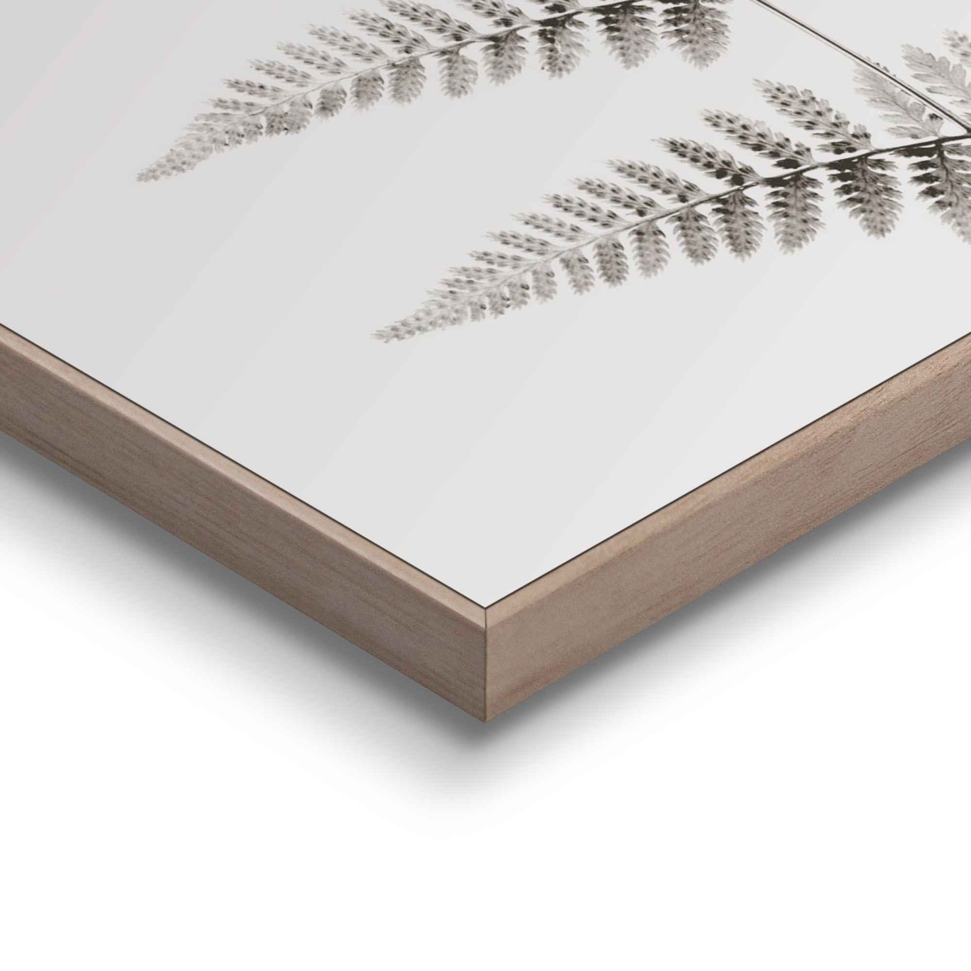 Reinders! Wanddecoratie Varen plant - natuur - botanisch