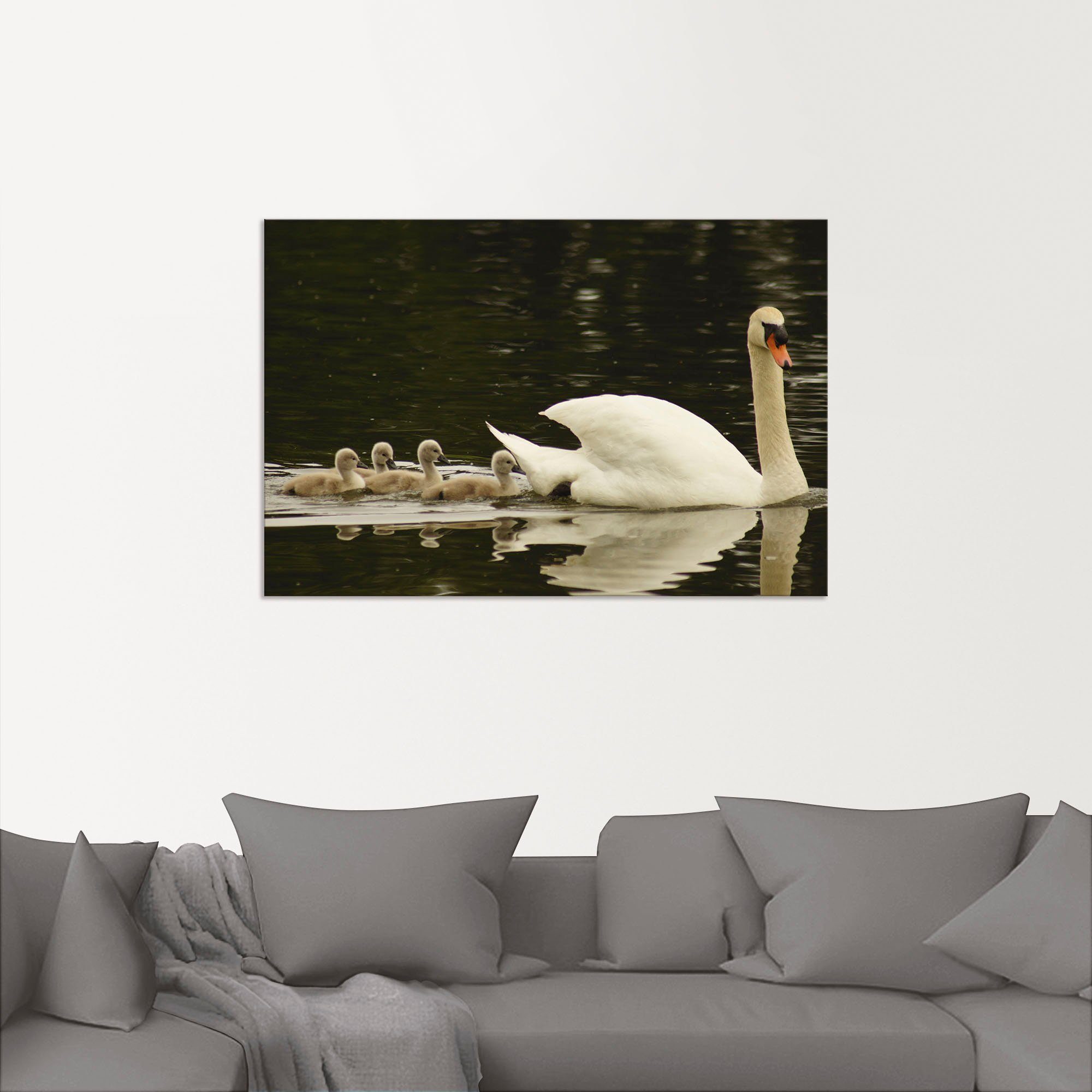 Artland Artprint Zwanen familie als artprint van aluminium, artprint op linnen, muursticker of poster in verschillende maten