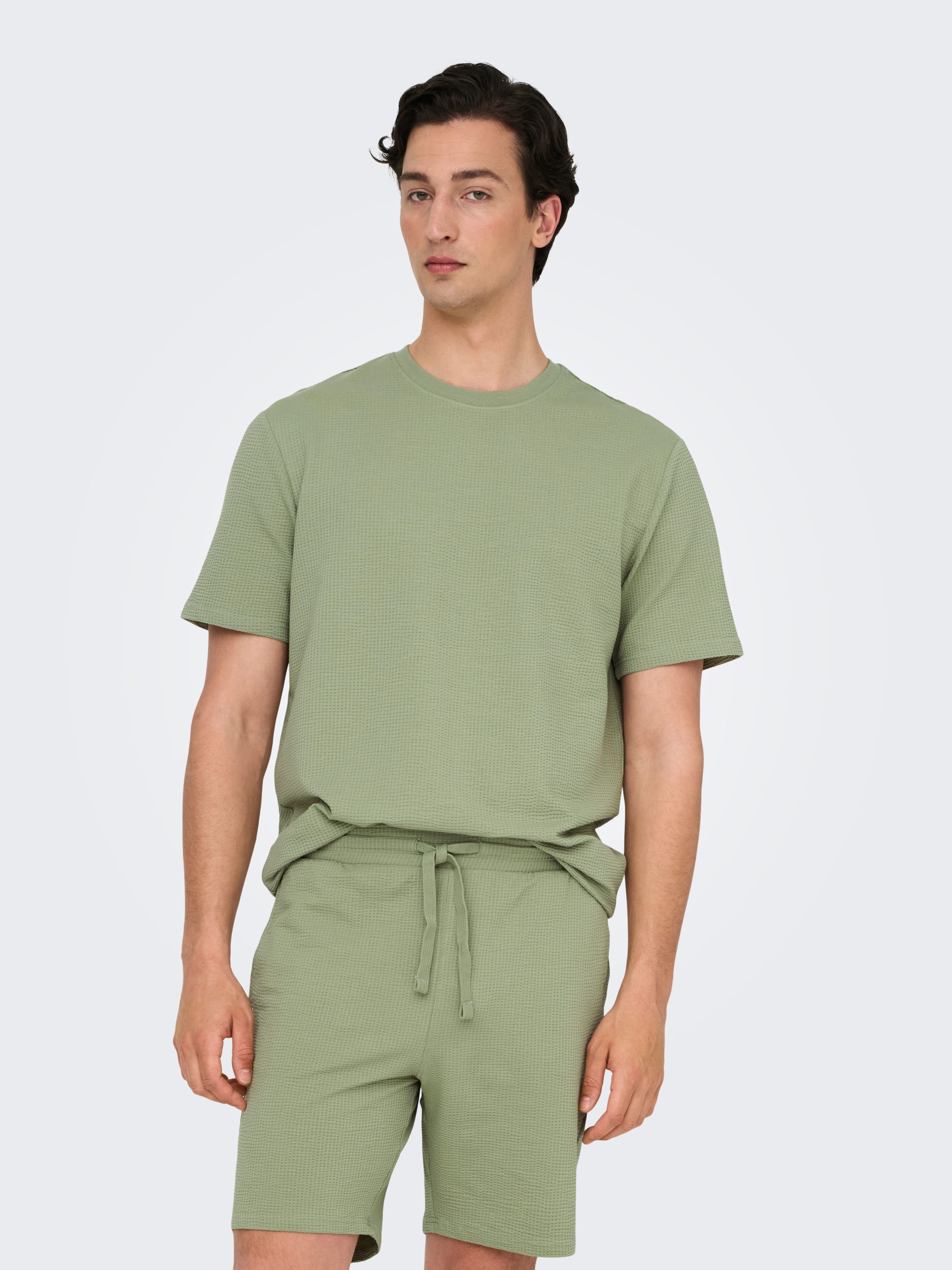 ONLY & SONS Shirt met ronde hals ONSKIAN LIFE REG SEERSUCKER SS TEE NOOS