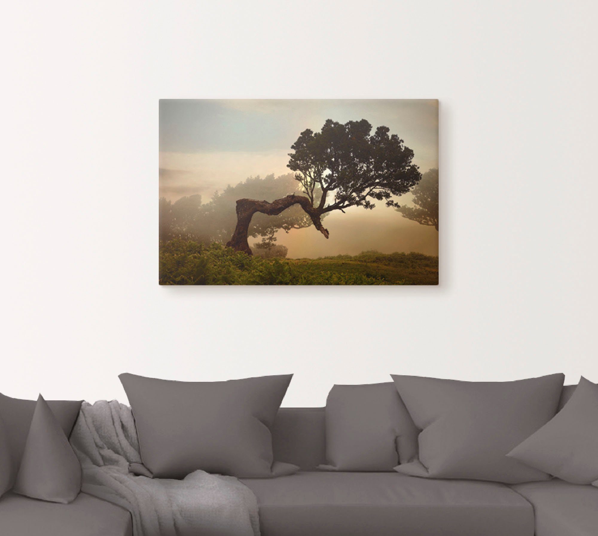 Artland Artprint Laurierboom als artprint van aluminium, artprint voor buiten, artprint op linnen, poster, muursticker