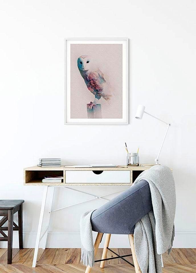 Komar Wanddecoratie Animals forest Owl Wanddecoratie - zonder lijst (1 stuk)