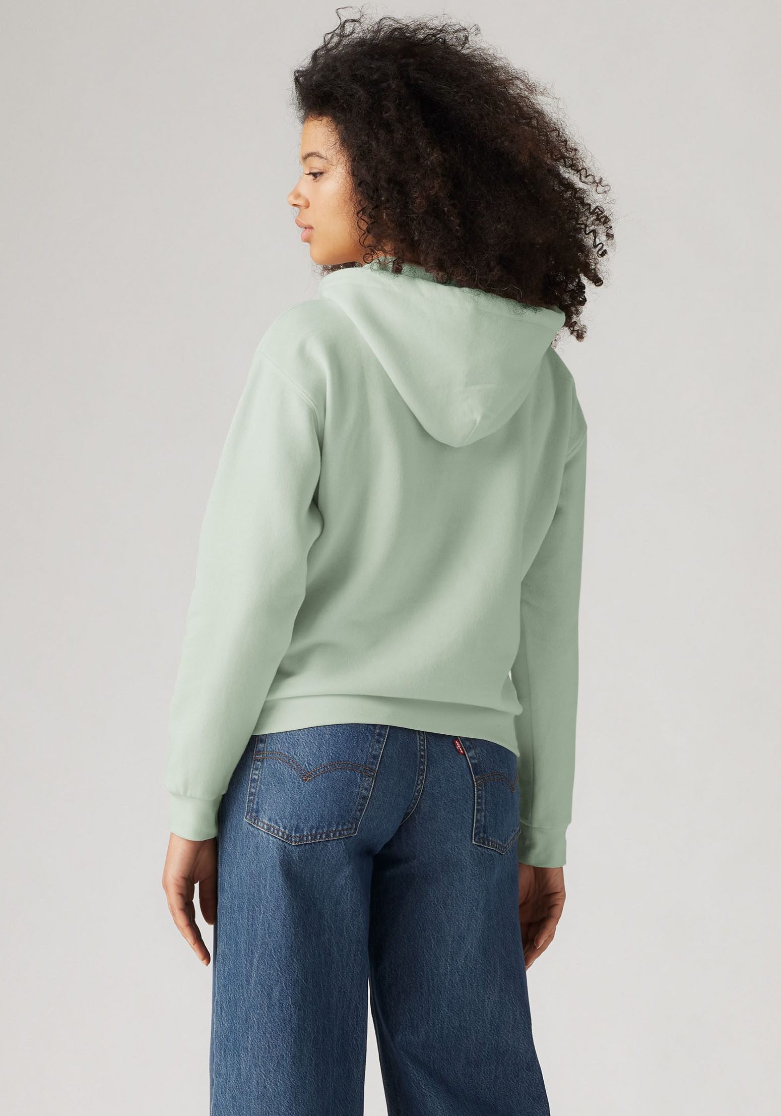 Levi's® Hoodie GRAPHIC EVERYDAY HOODIE