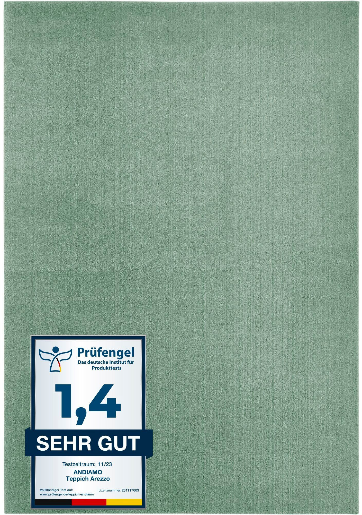 Andiamo Vloerkleed Arezzo Effen kleuren, zachte pool, wasbaar, ideaal voor de woonkamer en slaapkamer moderne vloerkleden maat 160 cm x 230 cm x 16