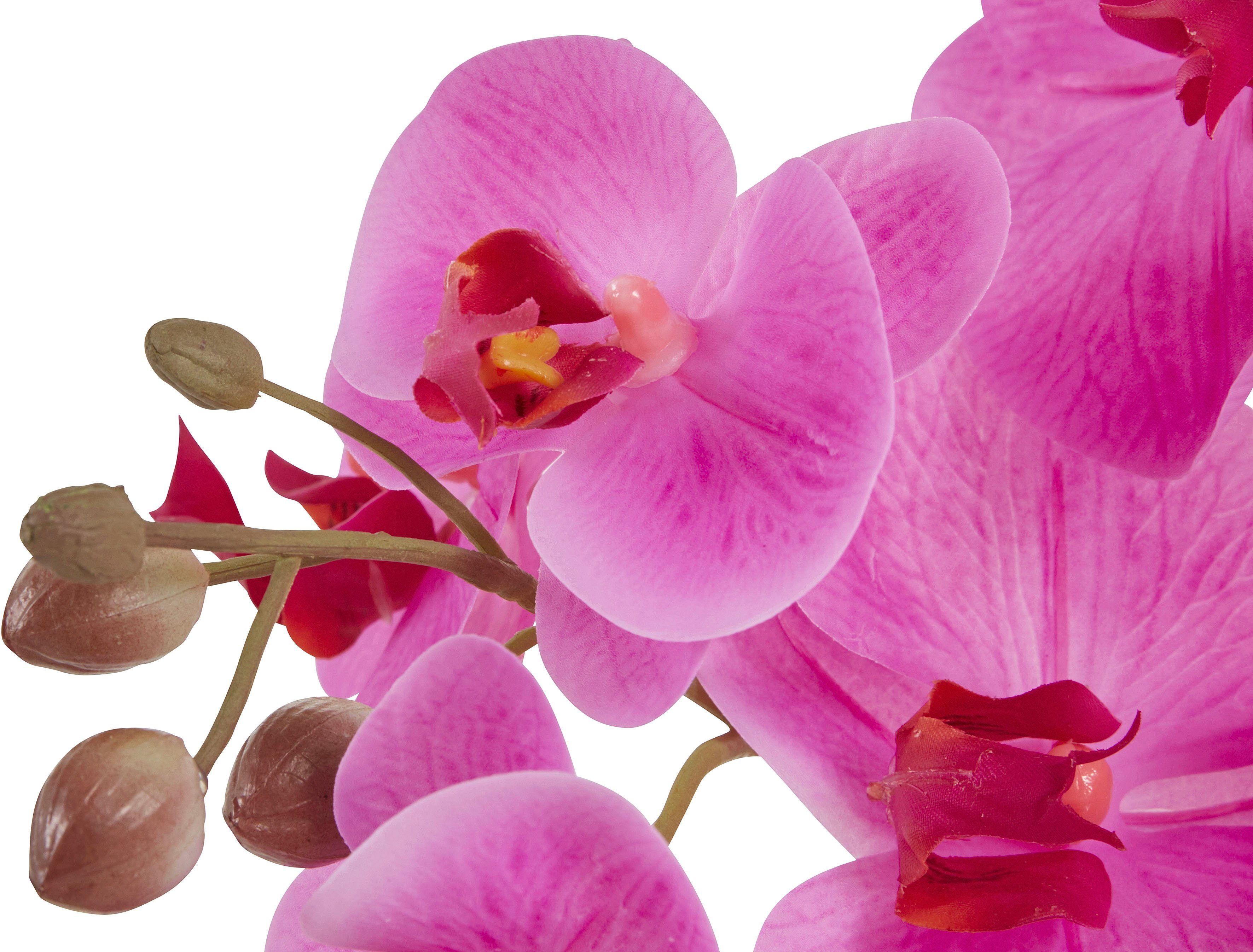 Leonique Kunstplant Orchidee Kunstorchidee, in pot, bestseller, meer dan 2500 4,5-sterren beoordelingen (1 stuk)