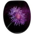 sanilo toiletzitting purple dust paars