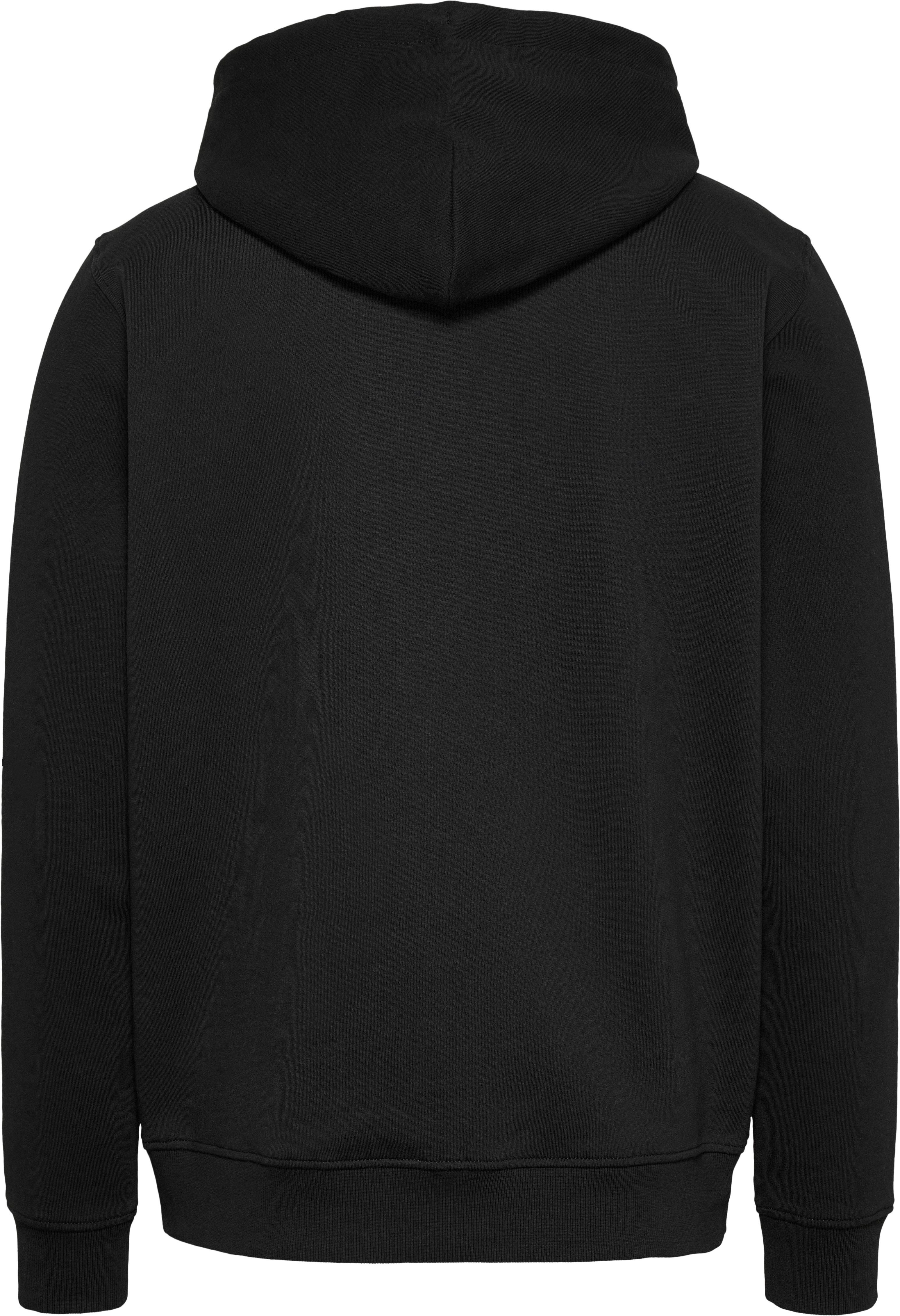 TOMMY JEANS Hoodie TJM REG LINEAR LOGO HOODIE EXT