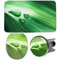 sanilo set badkameraccessoires green leaf bestaand uit toiletzitting, badmat en wastafelplug (complete set, 3-delig) groen