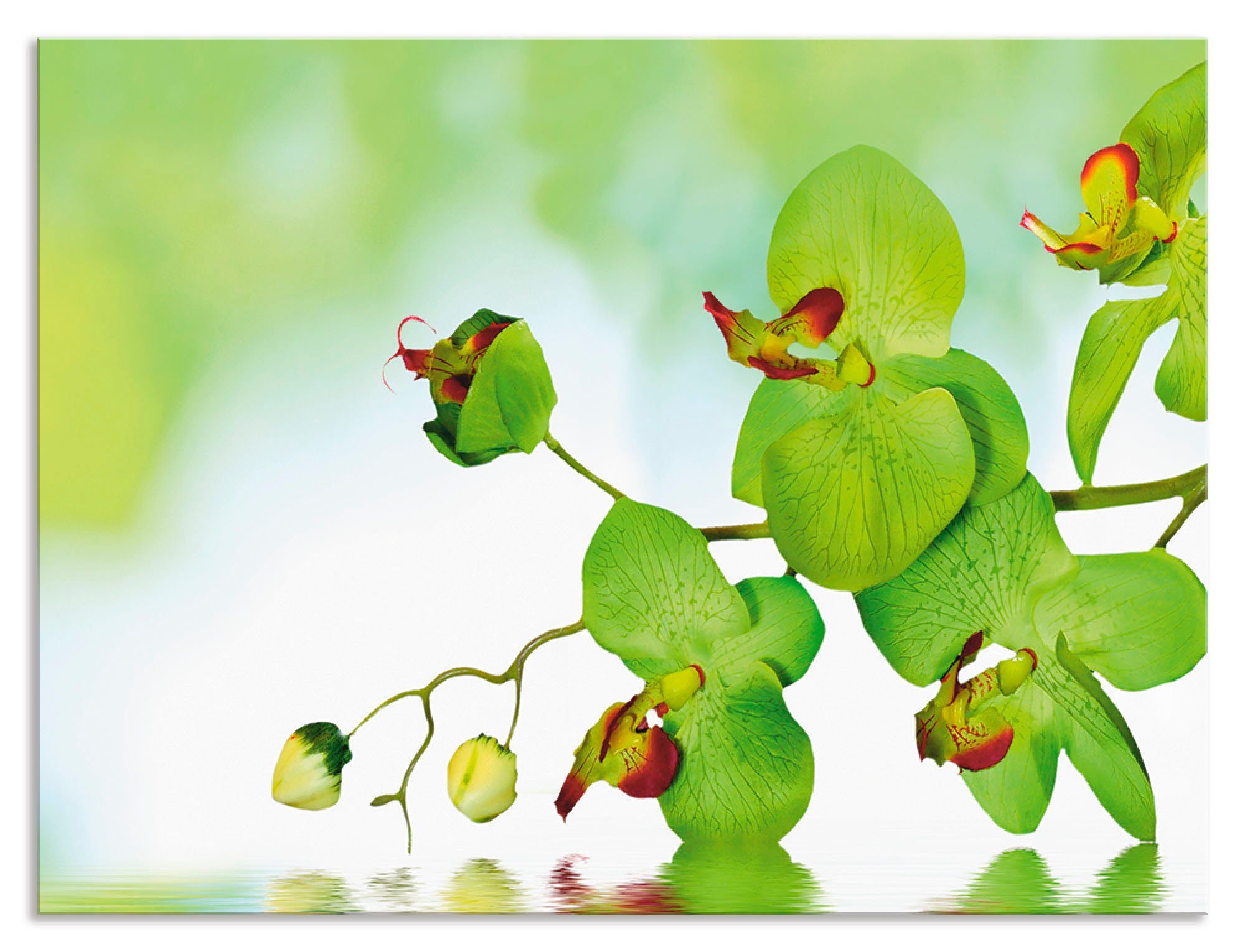 Artland Keukenwand Mooie orchidee met groene achtergrond zelfklevend in vele maten - spatscherm keuken achter kookplaat en spoelbak als wandbescherming tegen vet, water en vuil - a