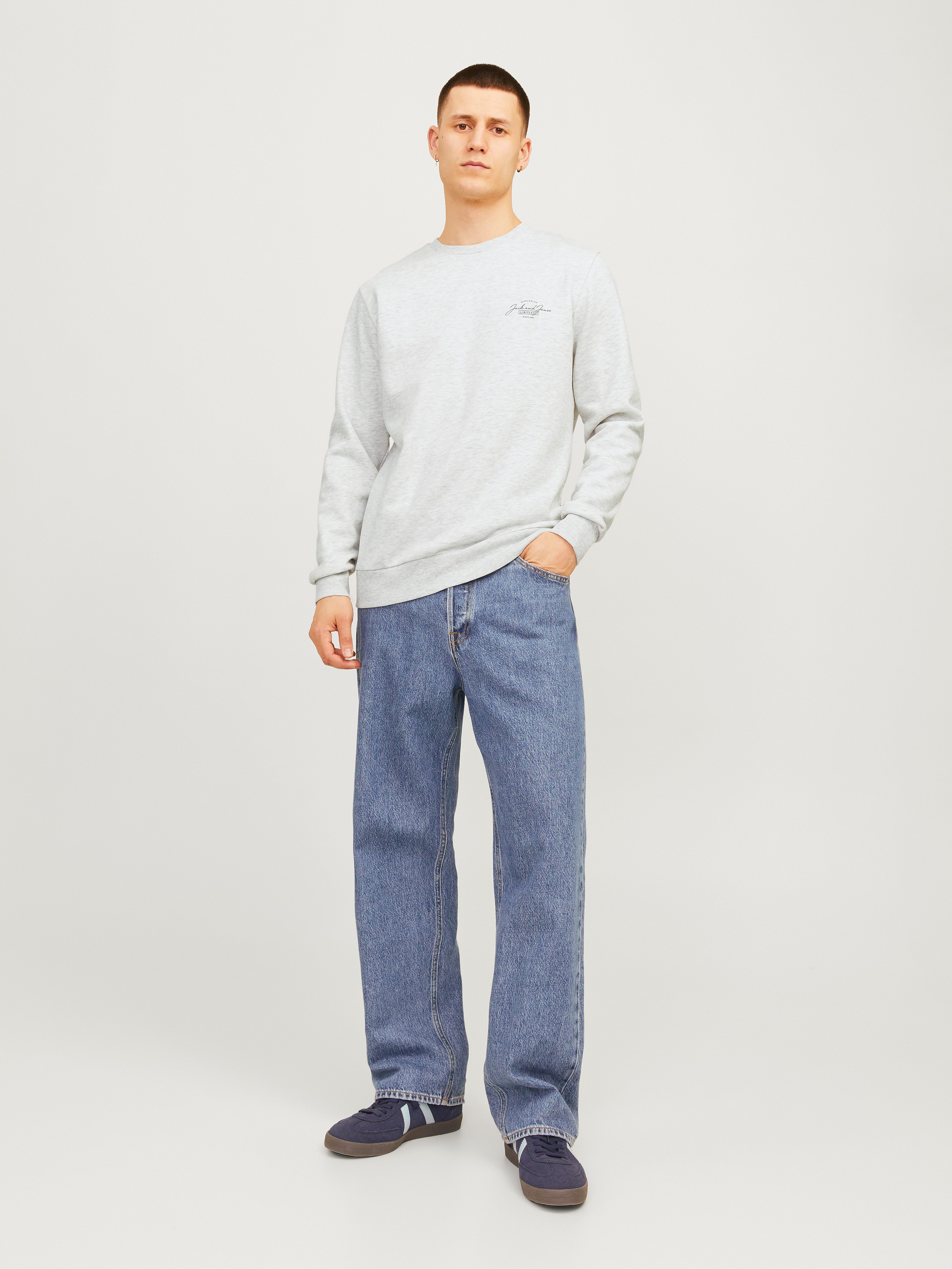 Jack & Jones Sweatshirt JJFERRIS SWEAT CREW NECK