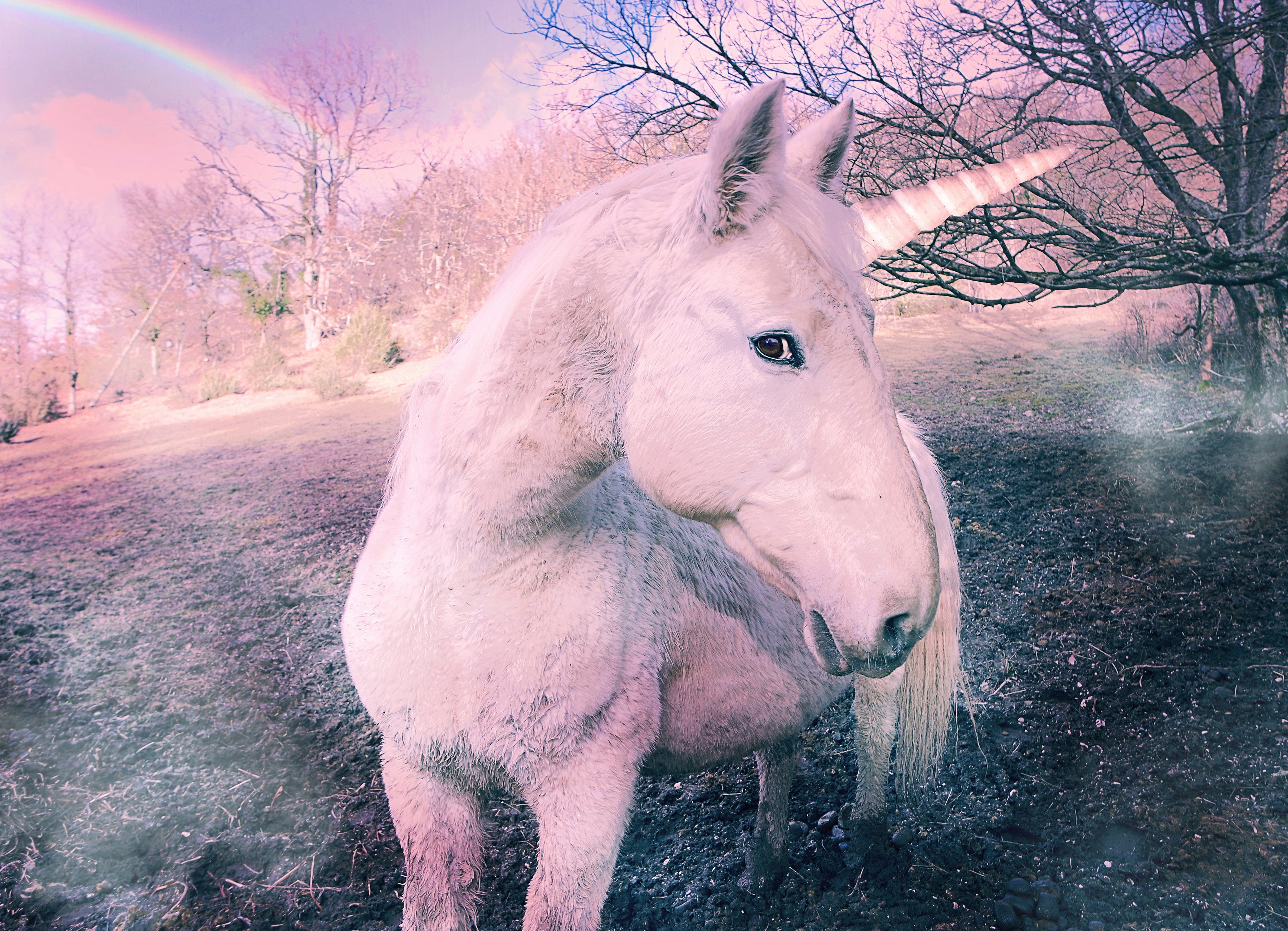 Papermoon Fotobehang Unicorn