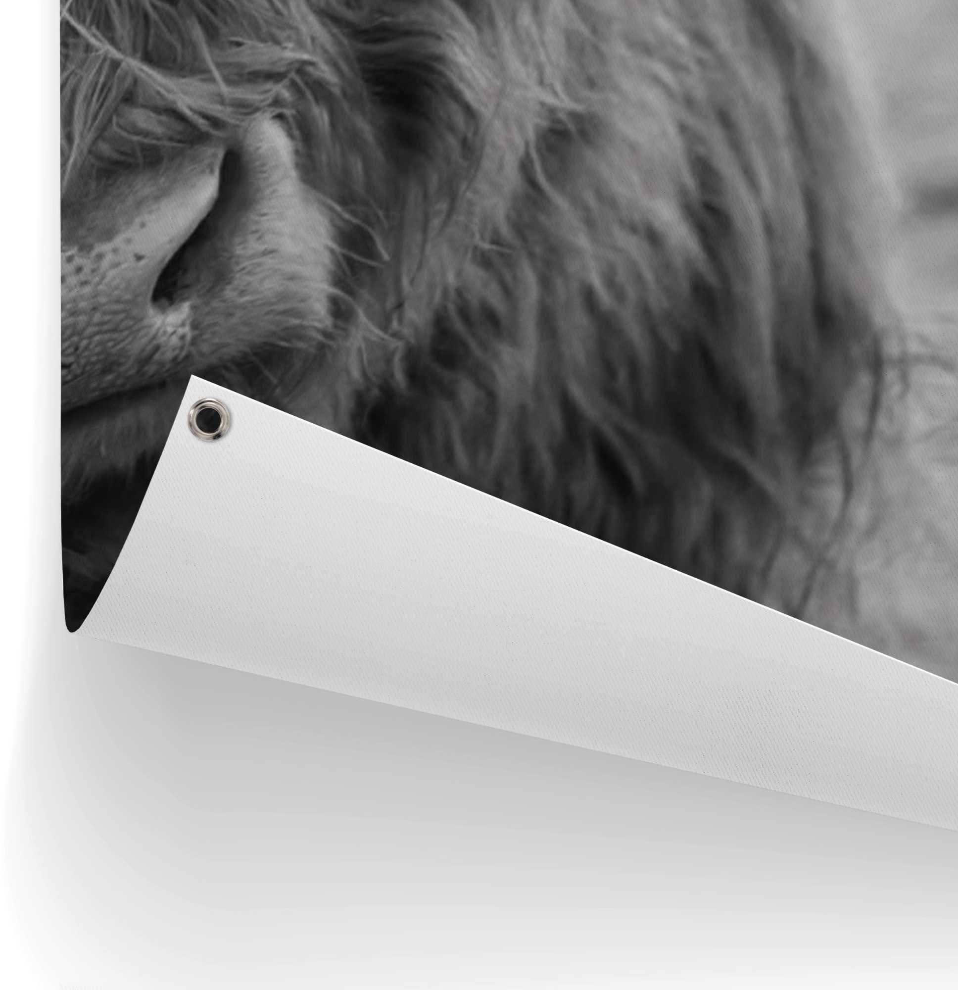 Reinders! Poster Highlander stier lichte en waterdichte tuinposter voor buiten