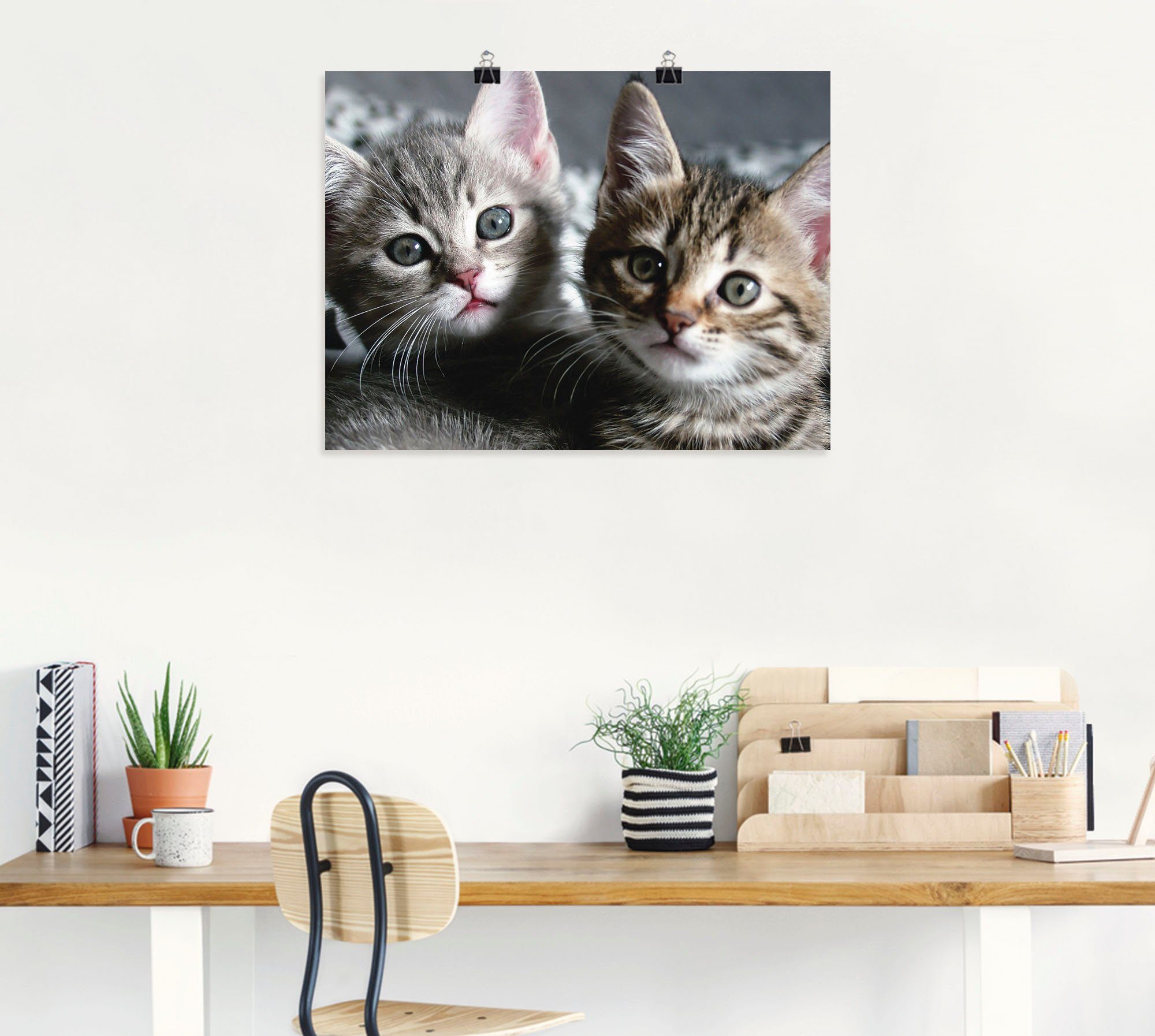 Artland Artprint Kat als artprint van aluminium, artprint voor buiten, artprint op linnen, poster, muursticker