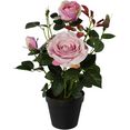 creativ green kunstplant rozenstruik in een plastic pot roze
