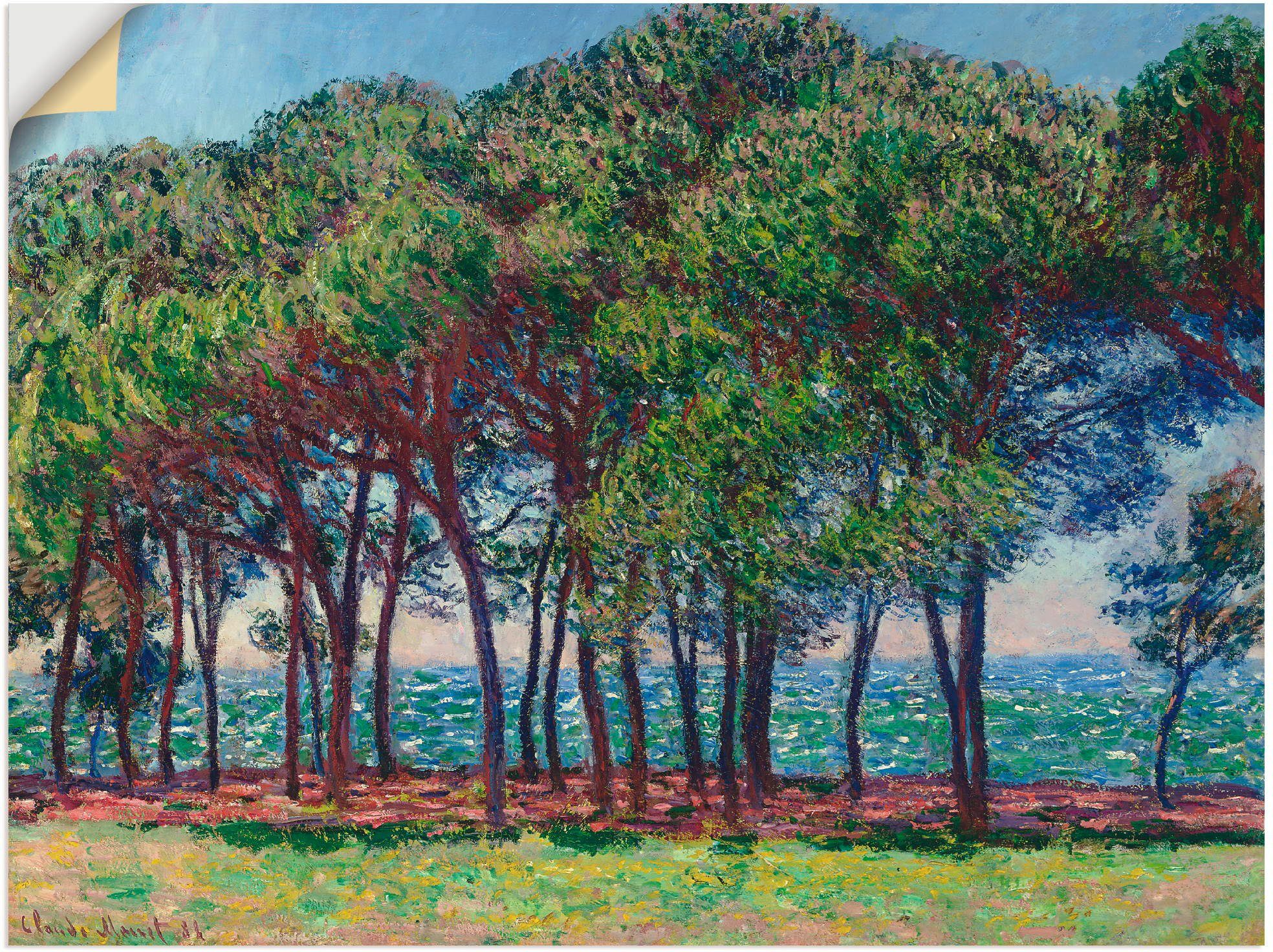 Artland Artprint Dennenbomen op de Cap d'Antibes. 1888 in vele afmetingen & productsoorten -artprint op linnen, poster, muursticker / wandfolie ook geschikt voor de badkamer (1 stu