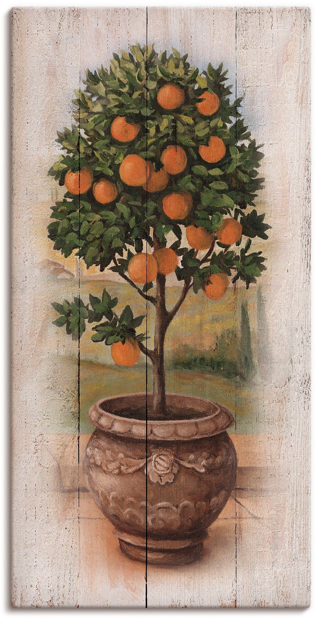 Artland Artprint Sinaasappelboompje met hout-look (1 stuk)