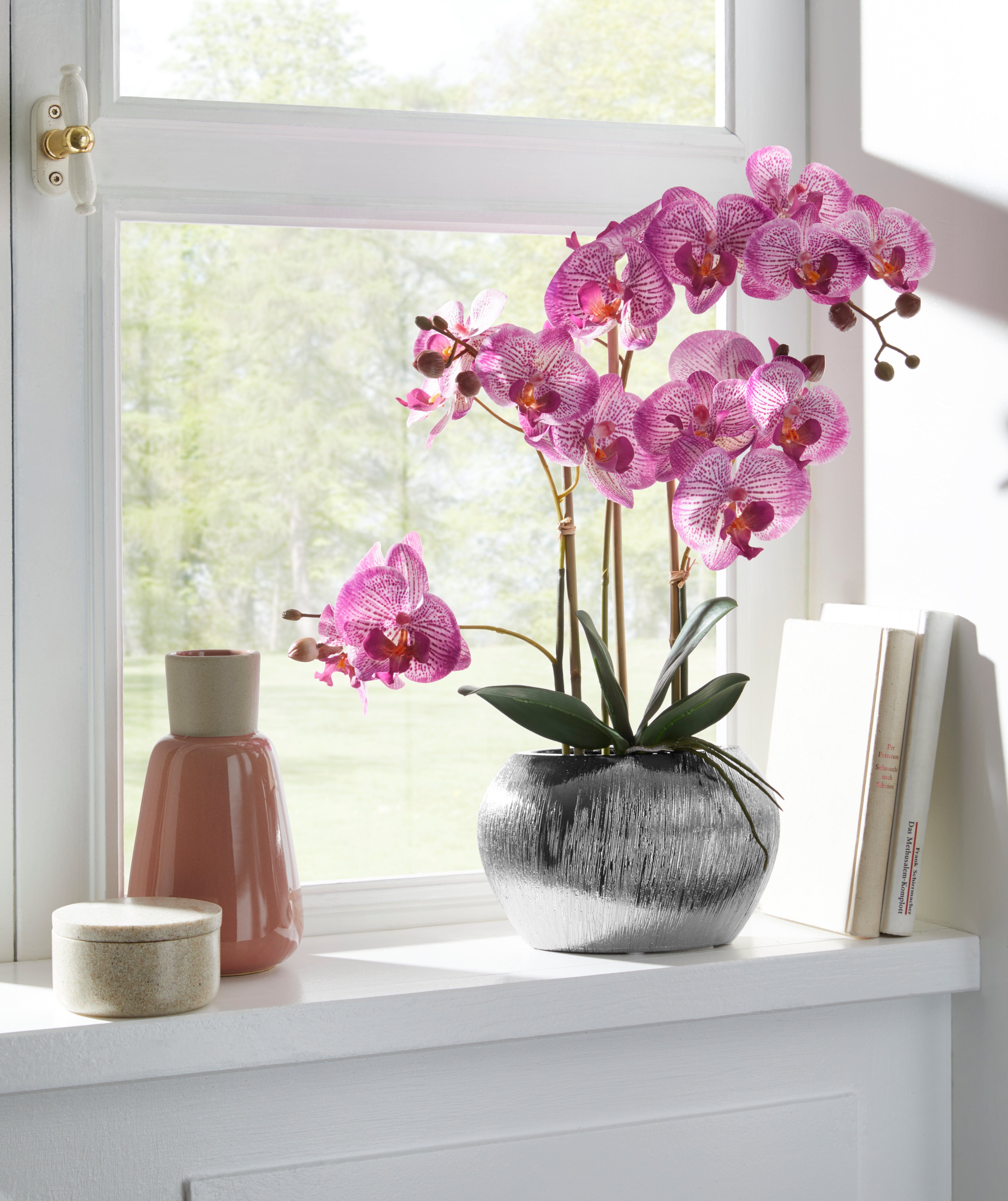 Home affaire Kunstplant Orchidee Kunstorchidee, in een pot (1 stuk)