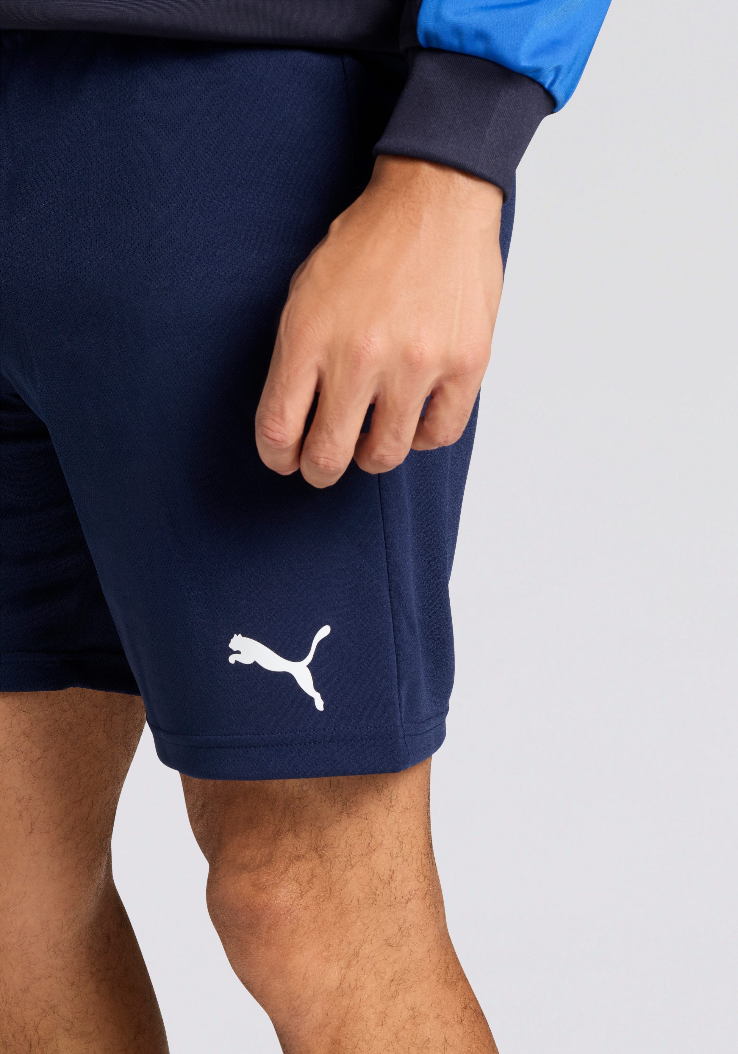 PUMA Trainingsshort TEAMRISE SHORT