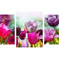 conni oberkircher´s beeld met klok may colours - paarse tulpen met decoratieve klok, voorjaar, natuur, zon (set) multicolor