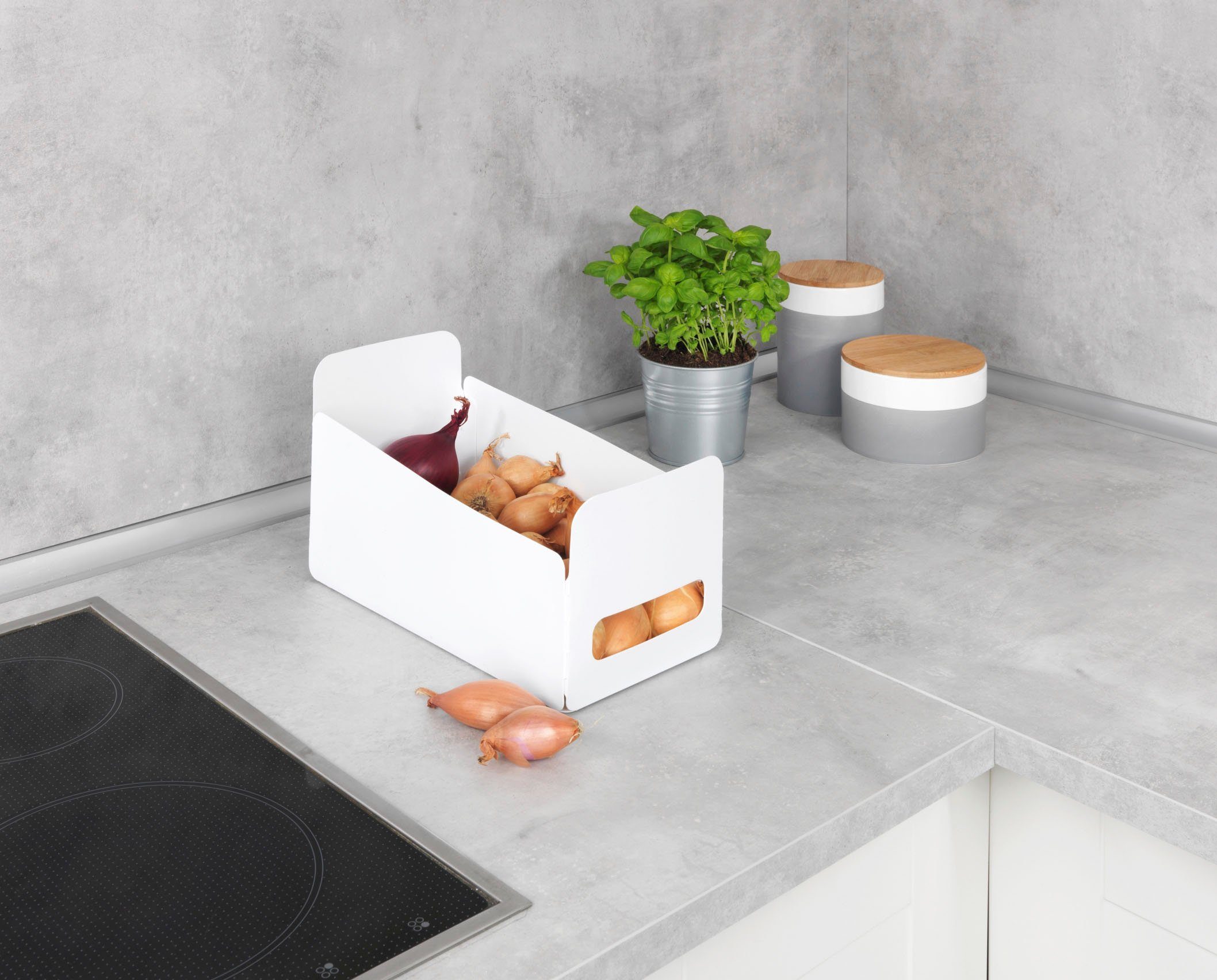 WENKO Organizer Universeel Opbergdozen voor keuken en huishouden, opvouwbaar, kunststof (6 stuks)