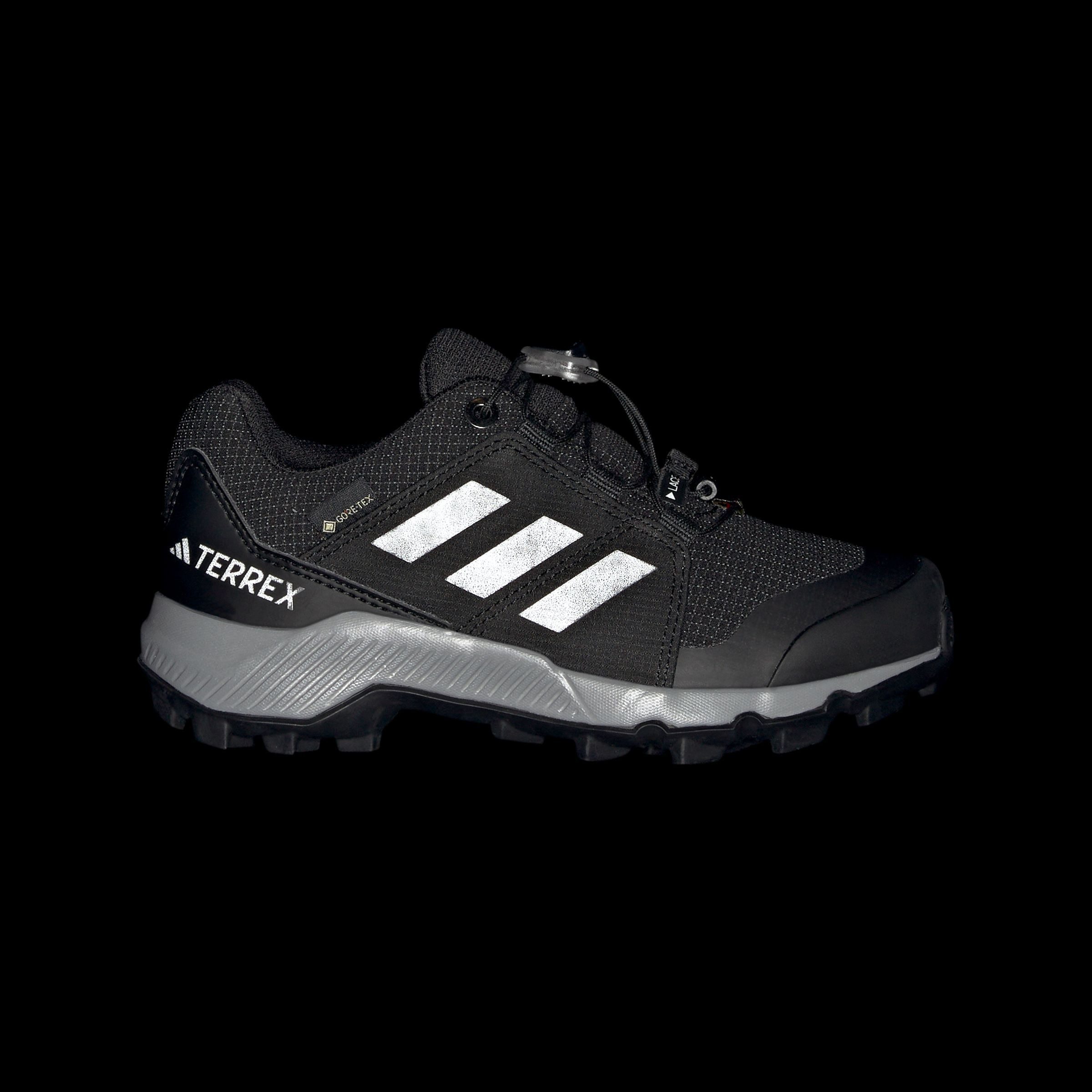 adidas TERREX Wandelschoenen TERREX GORE-TEX