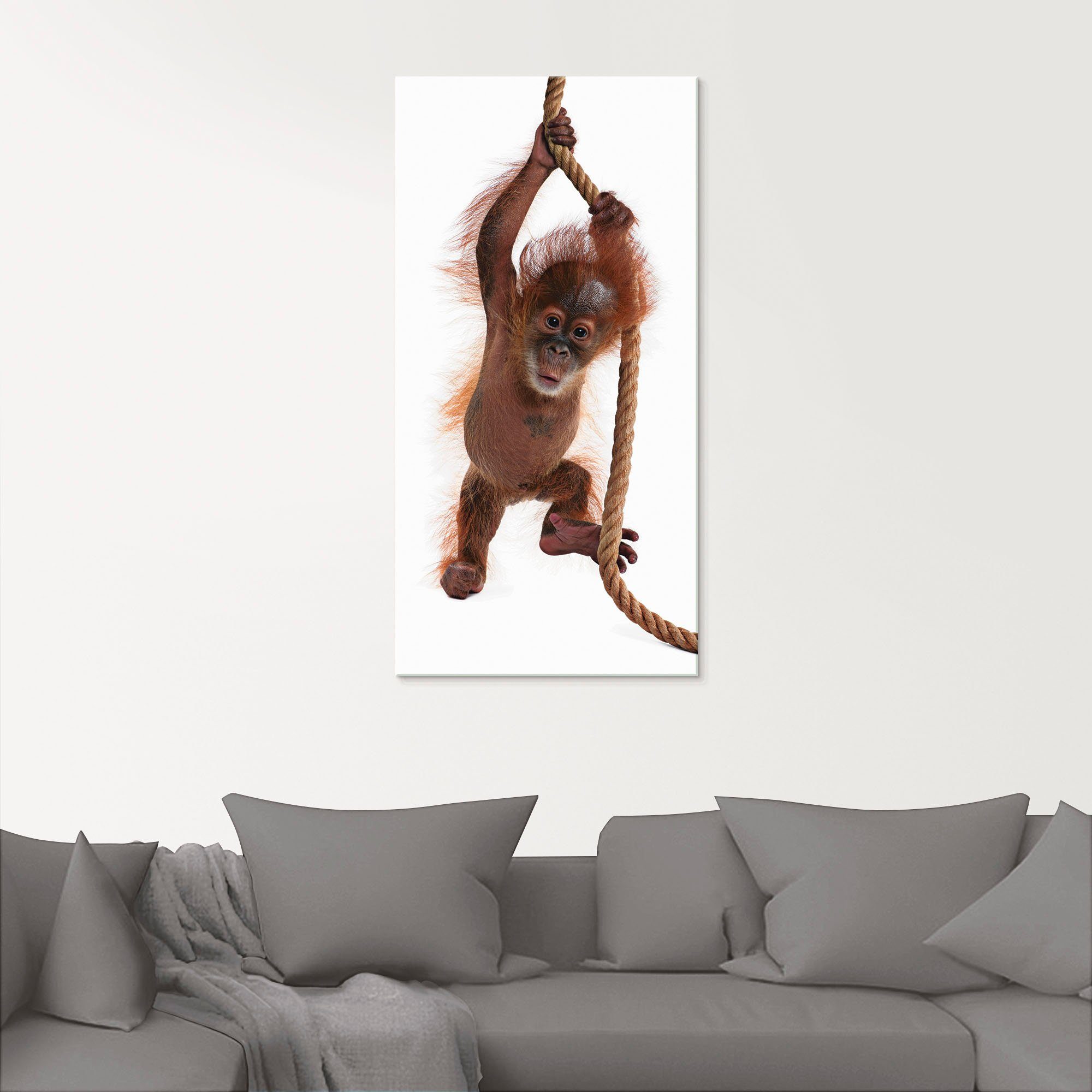 Artland Print op glas Baby orang oetan hangt aan het touw I