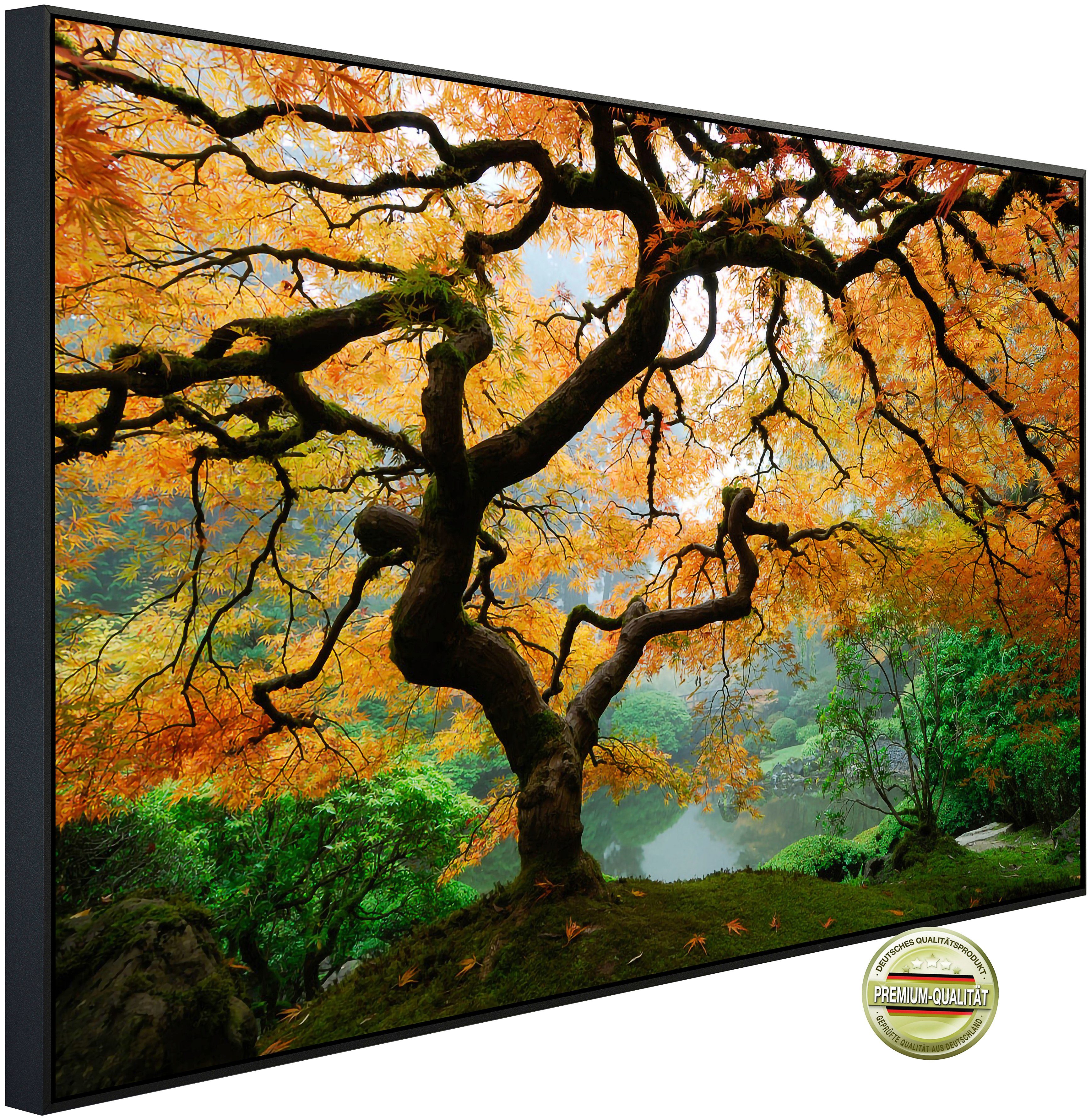 Papermoon Infraroodverwarming Herfst ahornboom zeer aangename stralingswarmte verwarmingen multicolor