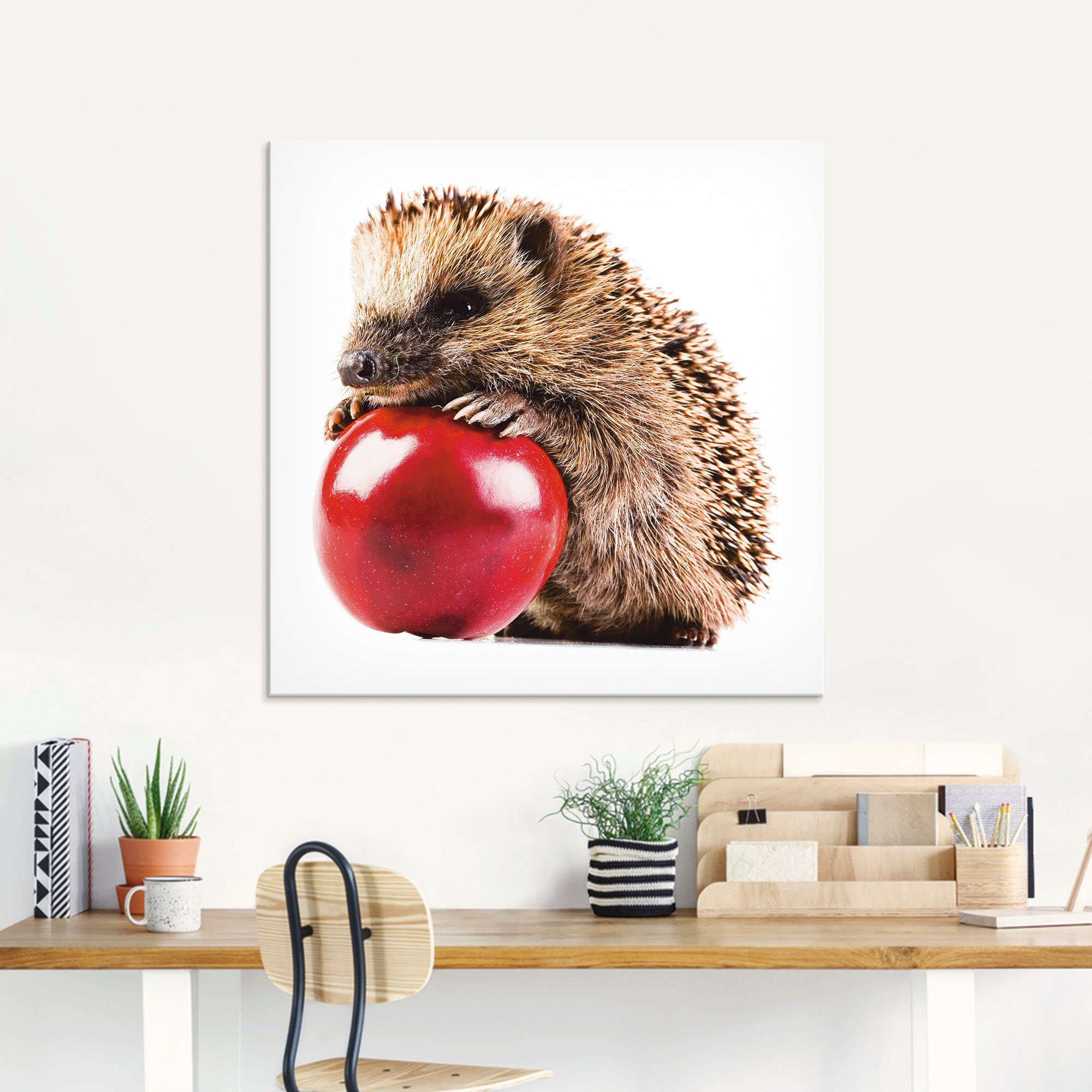 Artland Print op glas Gelukkige egel in verschillende maten